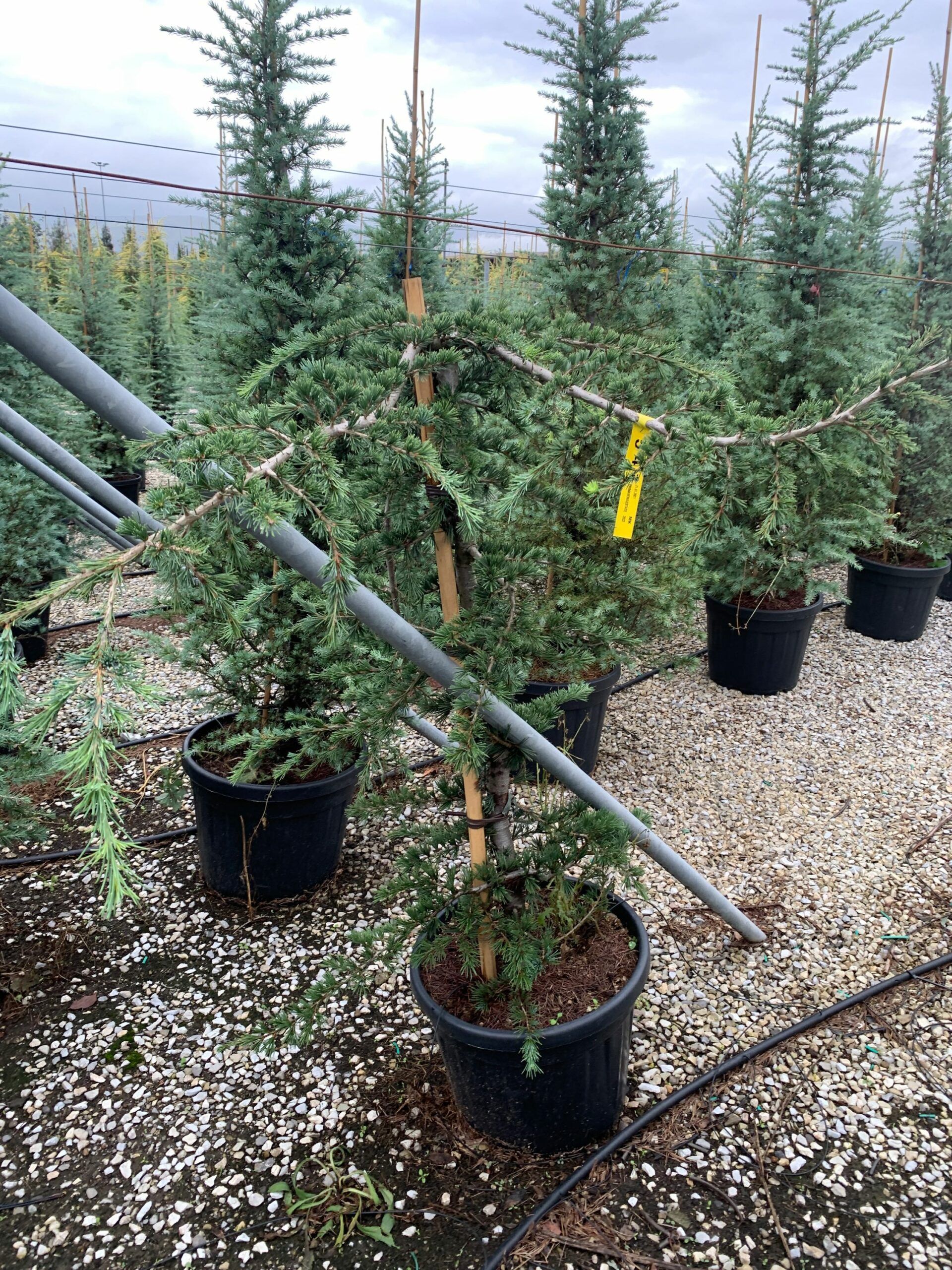 1633420139 scaled e2c17c4b