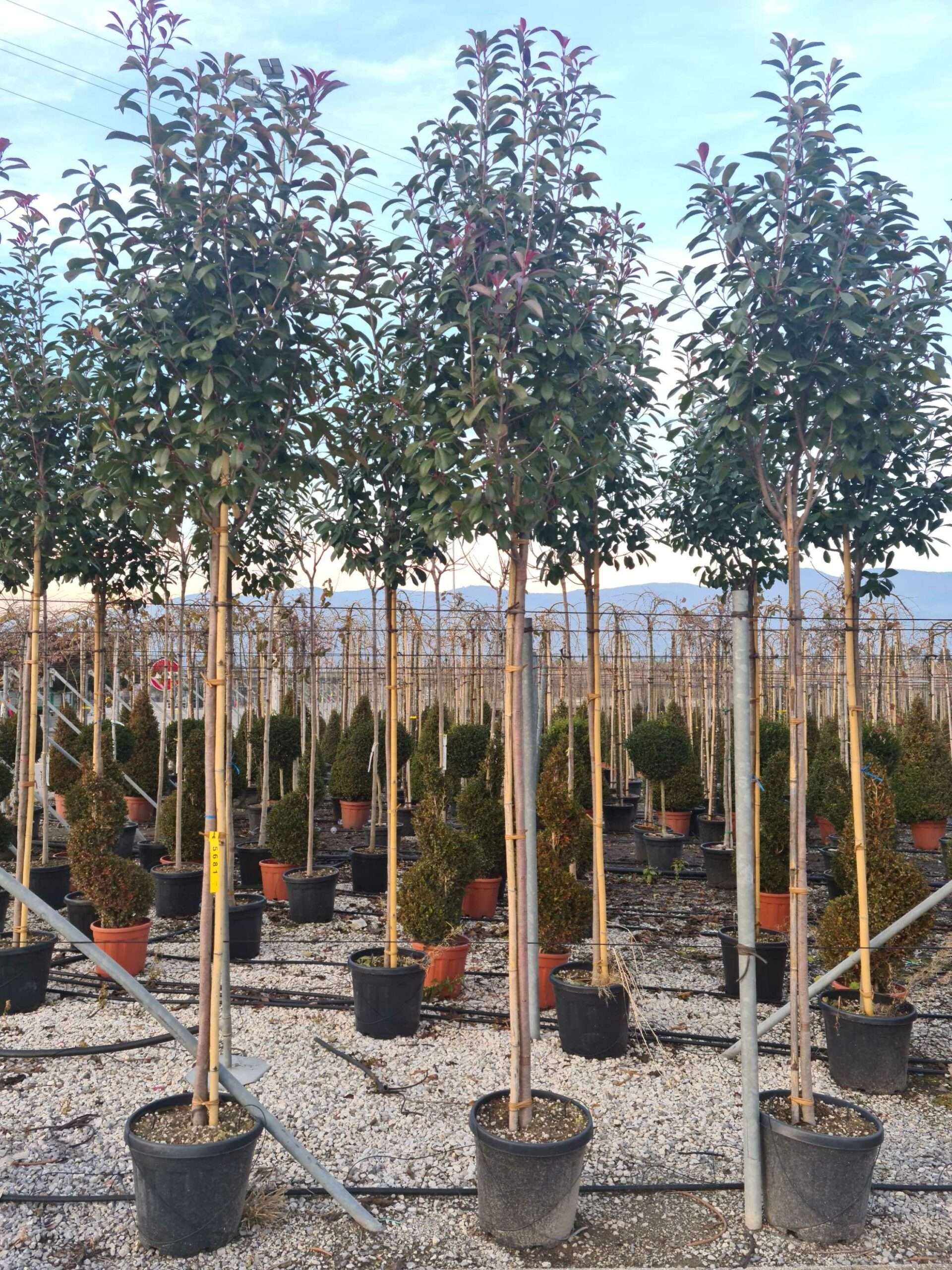 1639494787 scaled e2ee1f55