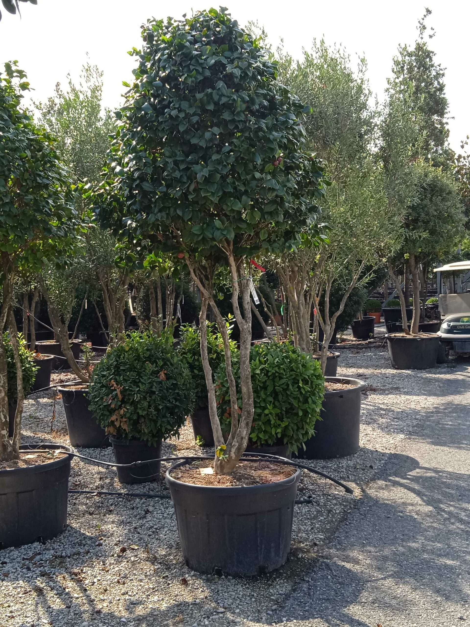 1661867666 scaled e278285e