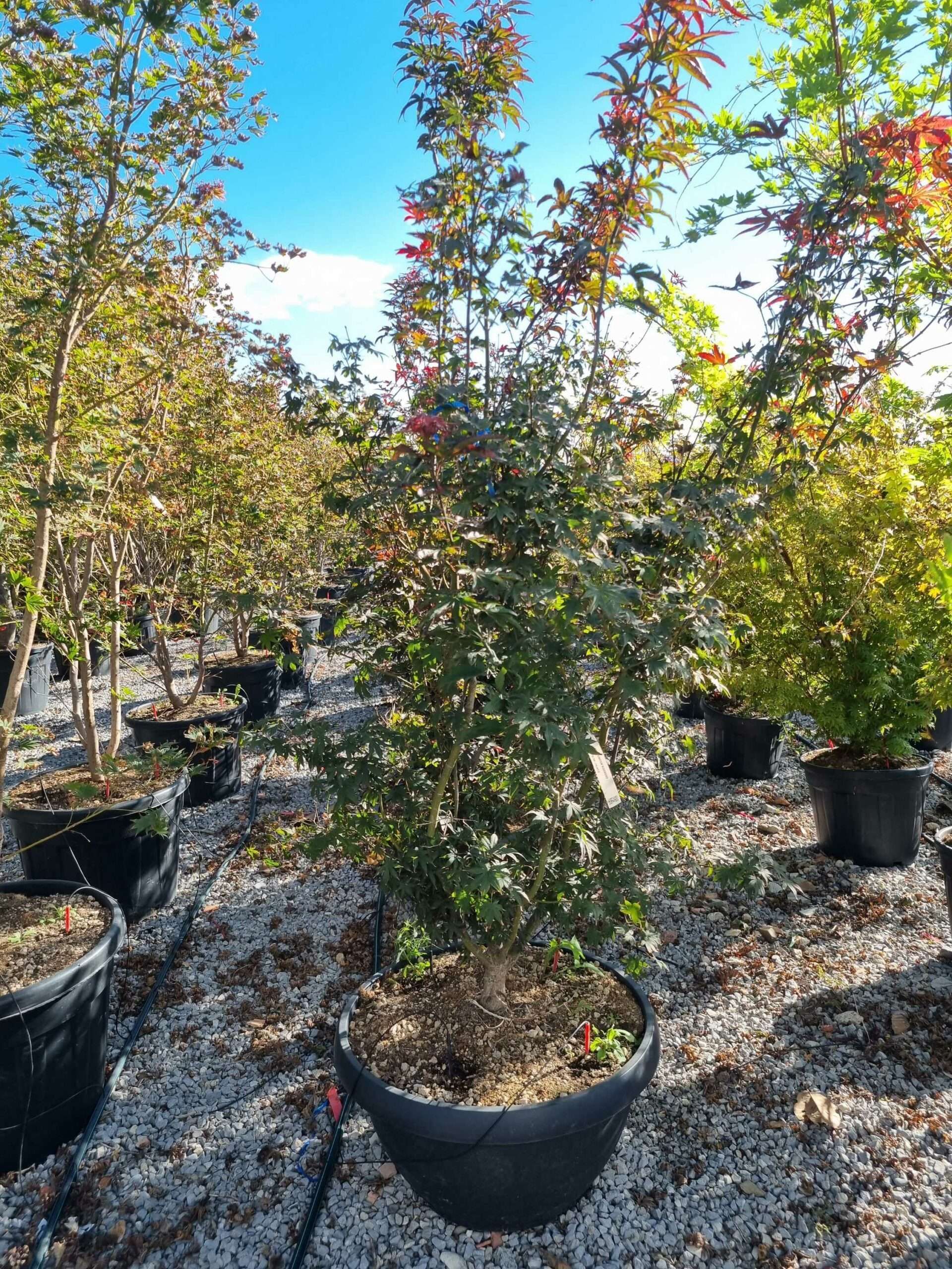 1663771094 scaled e2f9f198