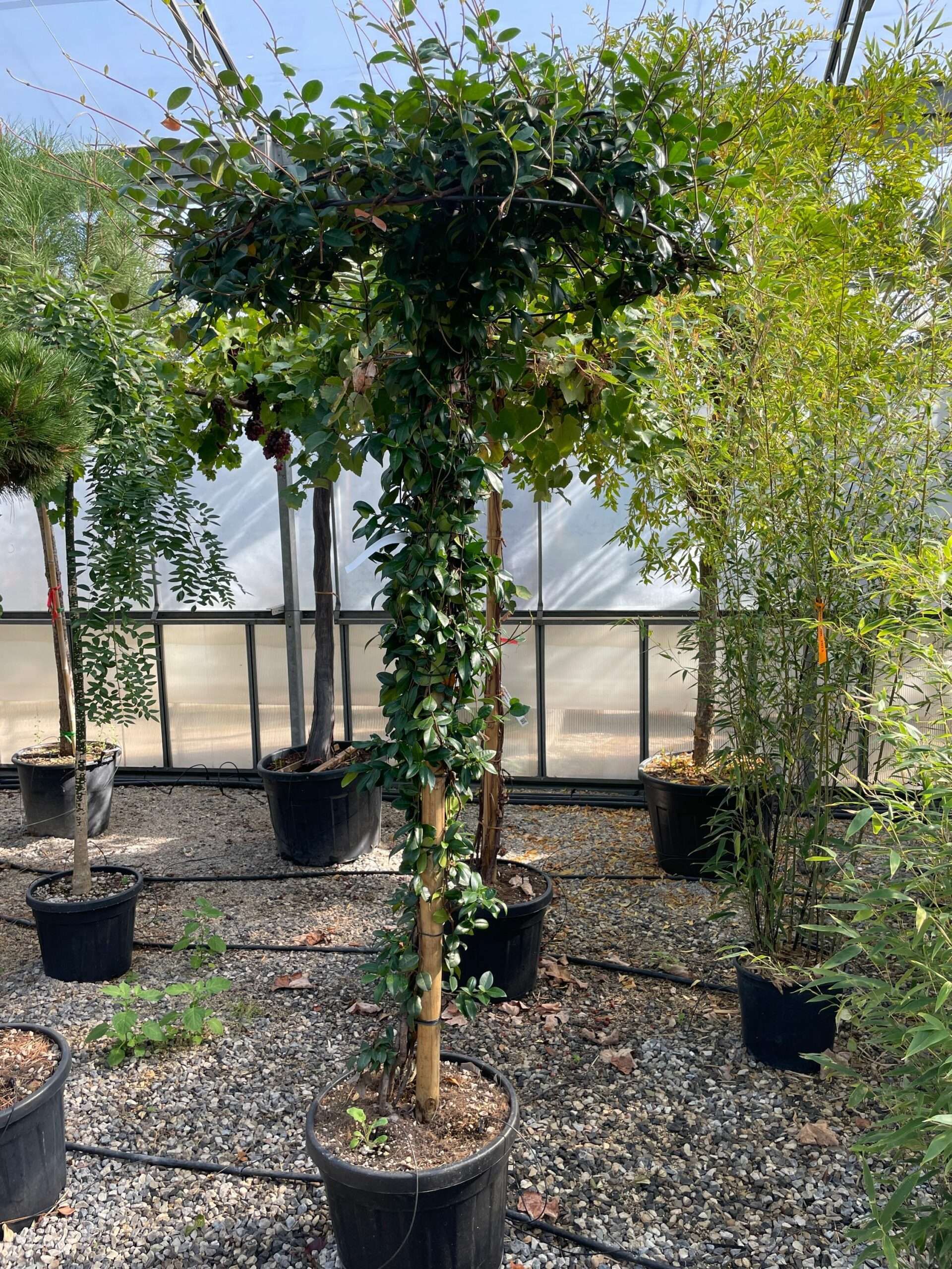 1665570706 scaled e2e7856b