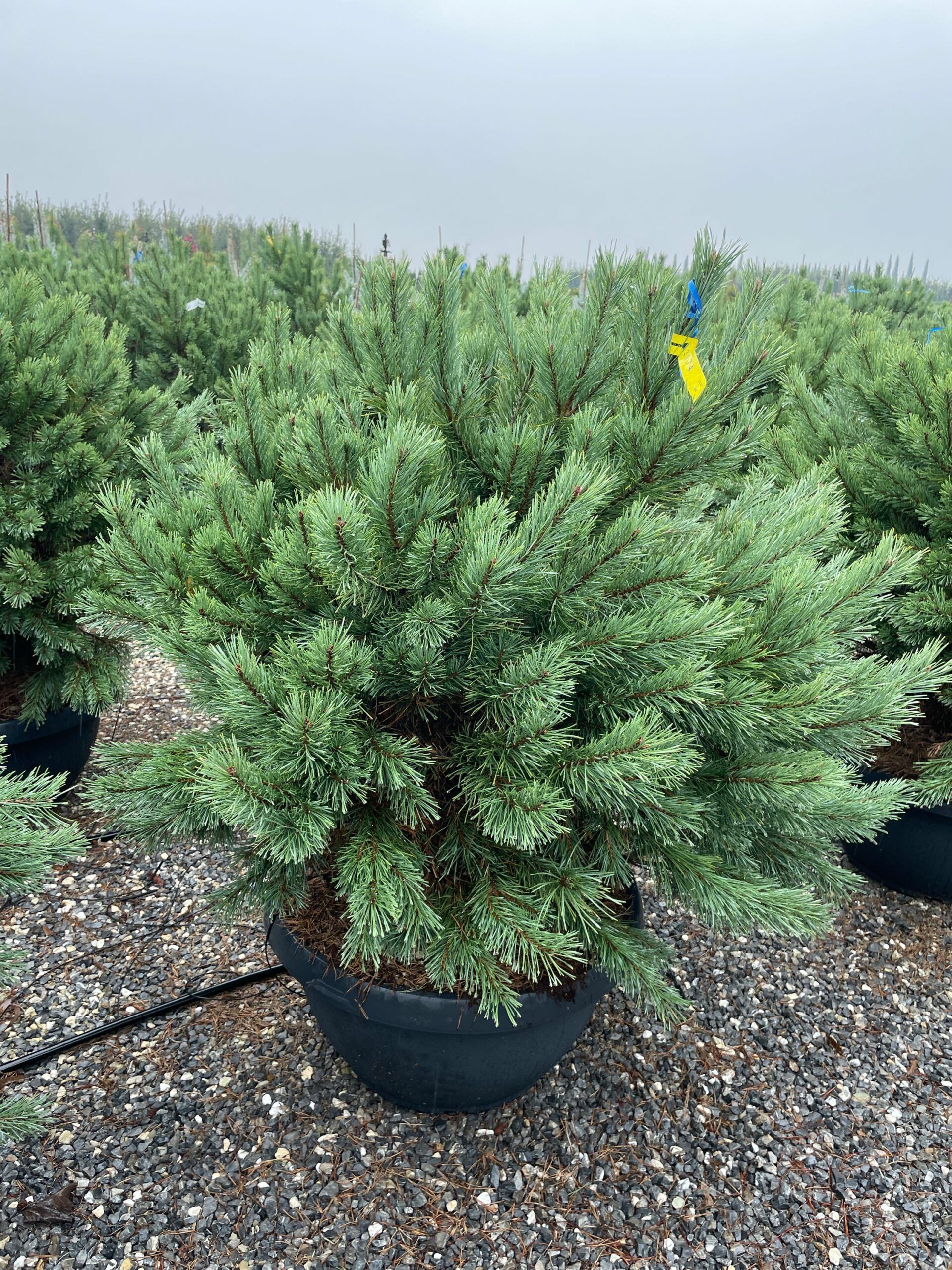 1670581912 scaled e2078b9f