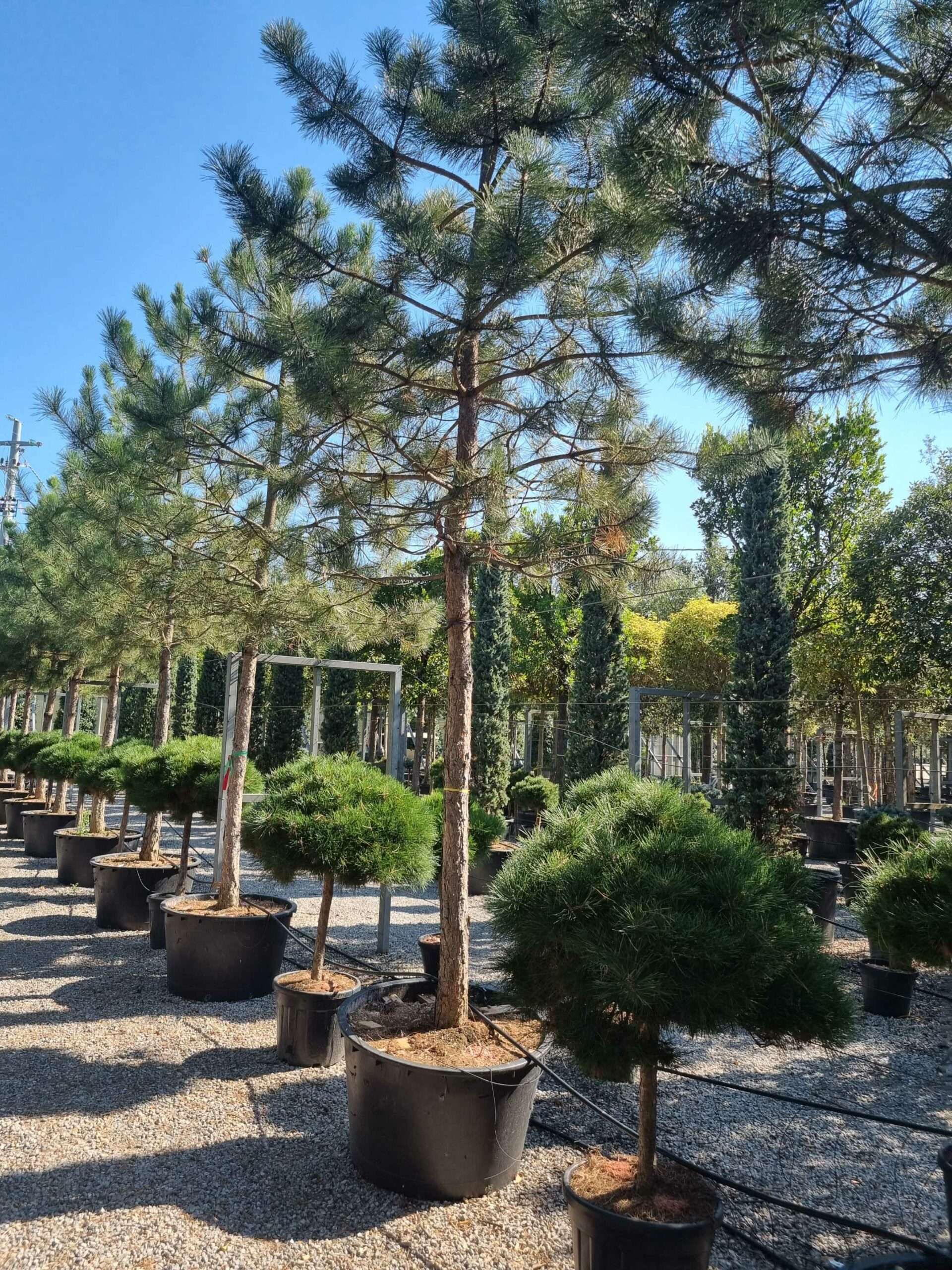 1692606167 scaled e2f56745