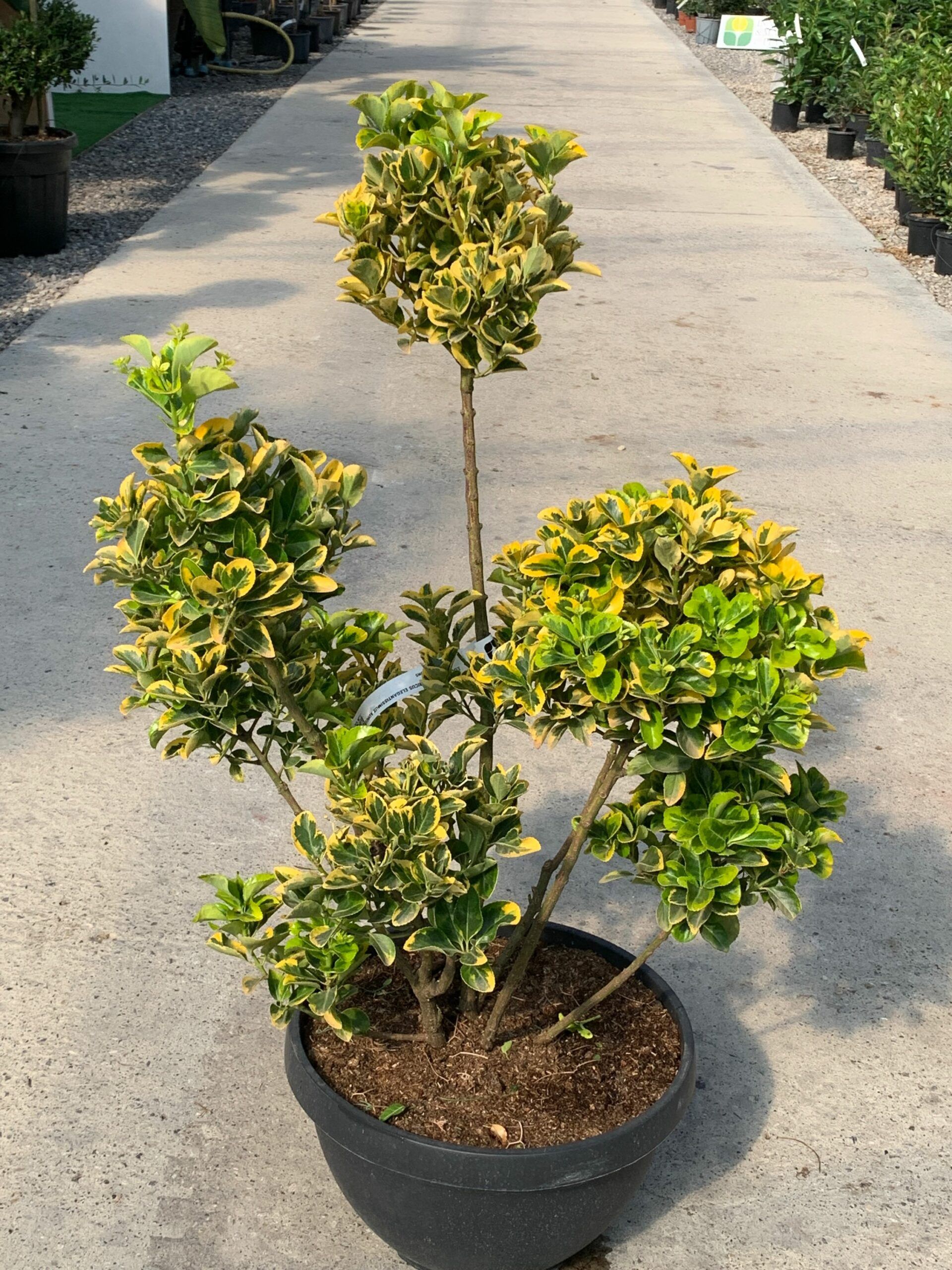 1632833823 scaled e3e01c67