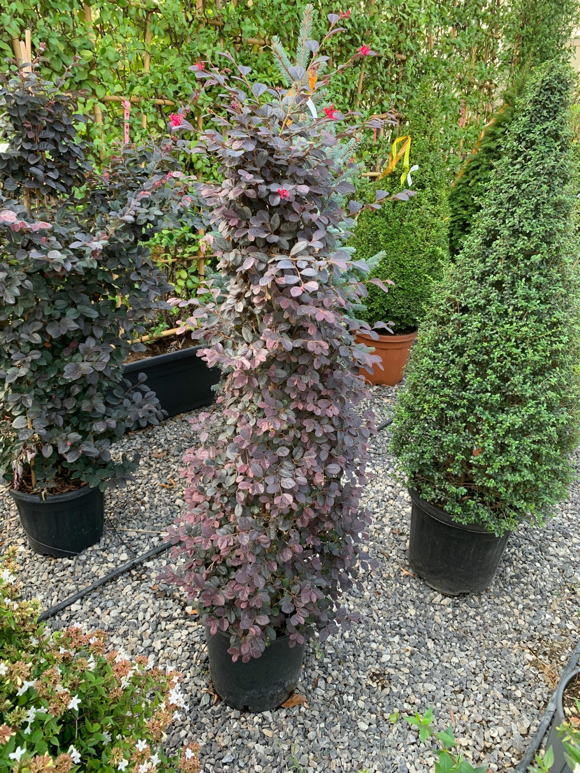 1632836708 scaled e38c6a1f