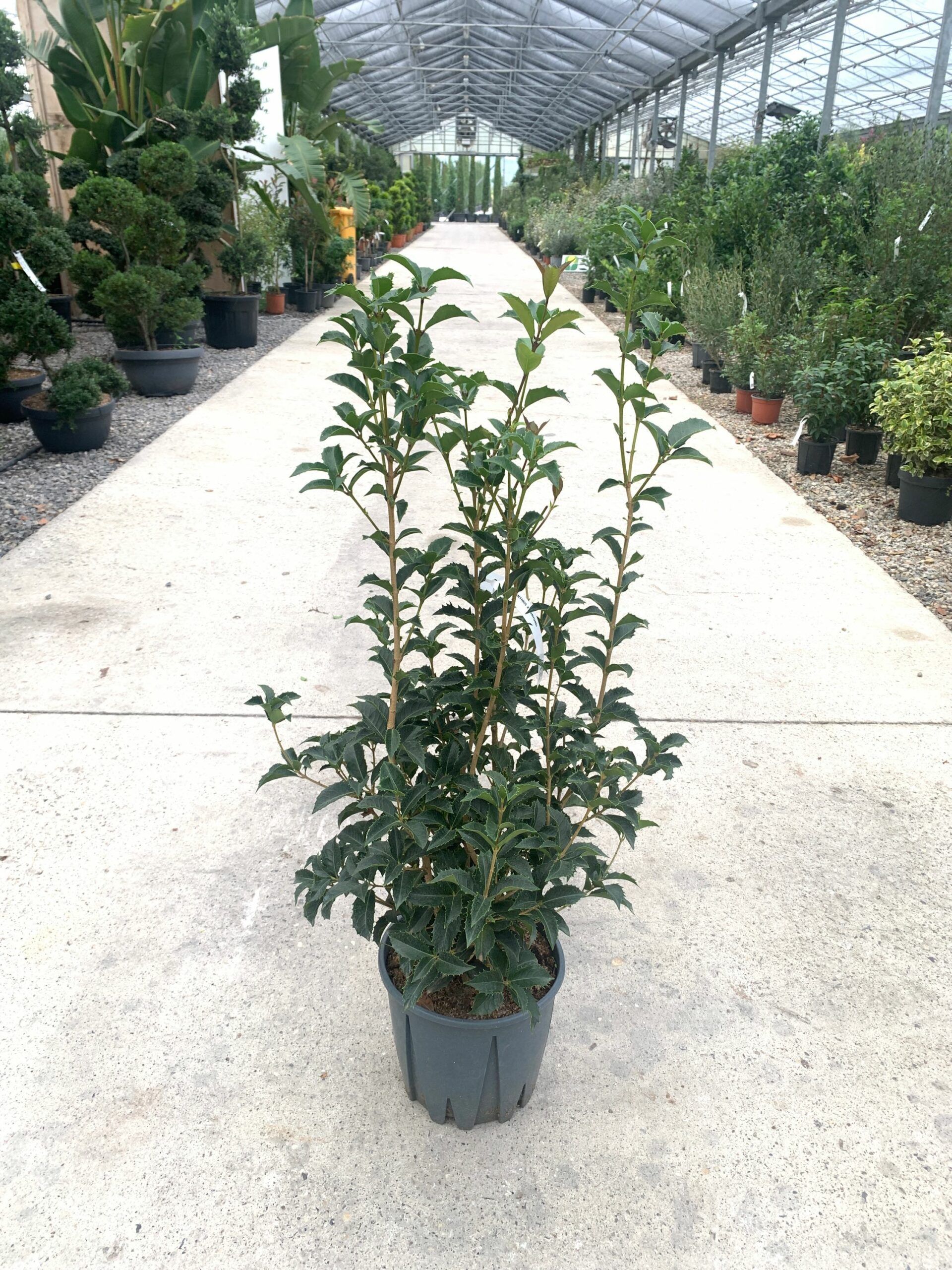 1634827511 scaled e3f4004f