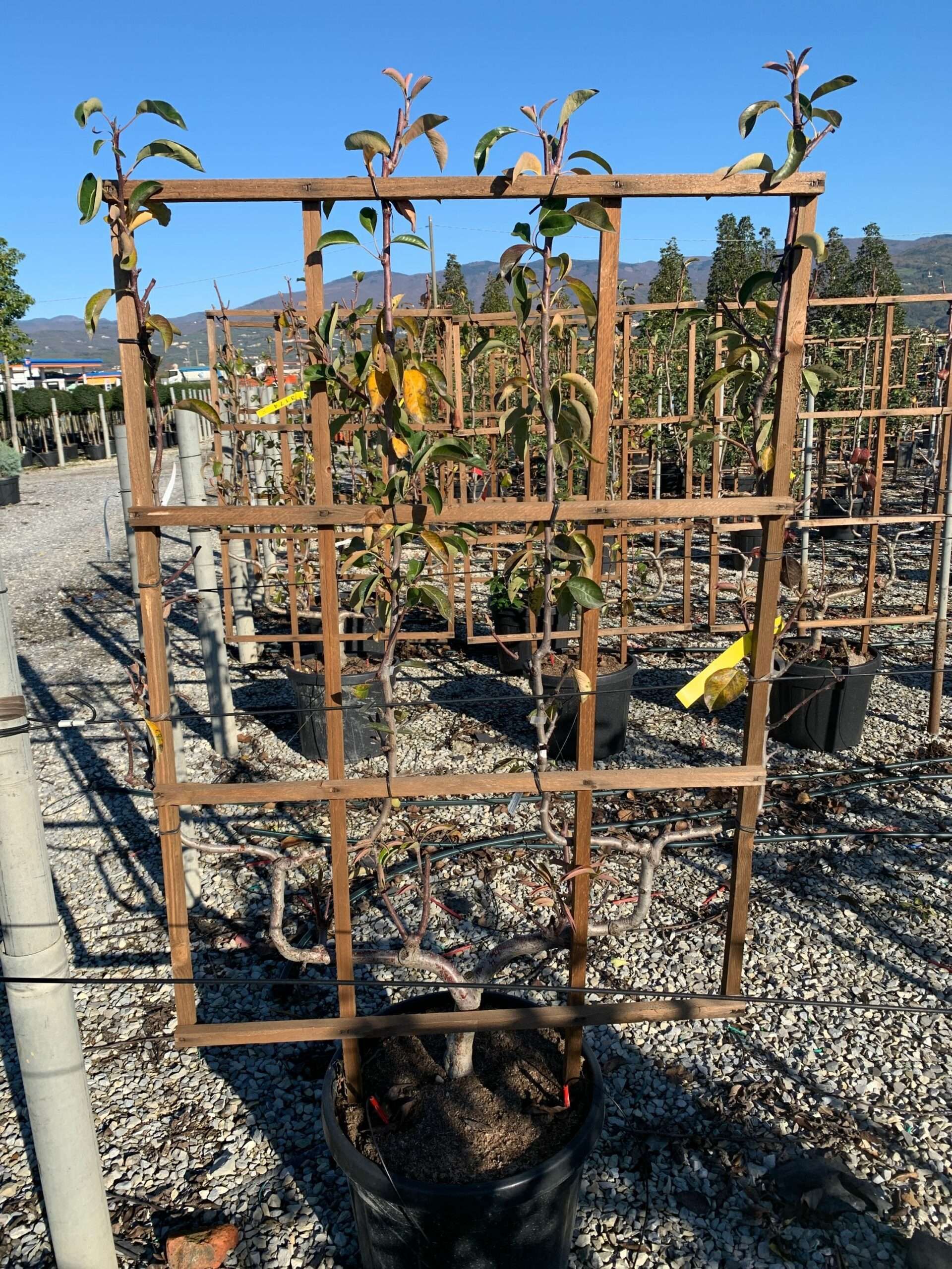 1637746070 scaled e3b2b69c