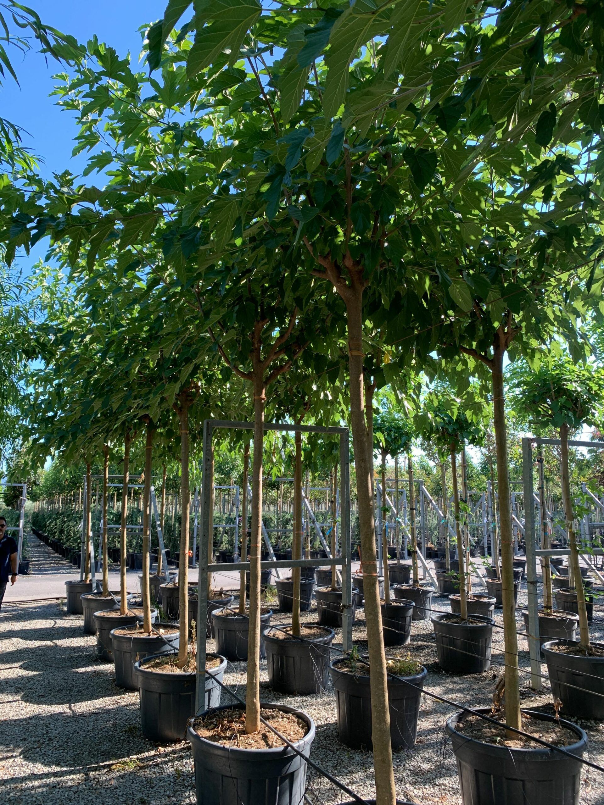 1657899527 scaled e35a680b