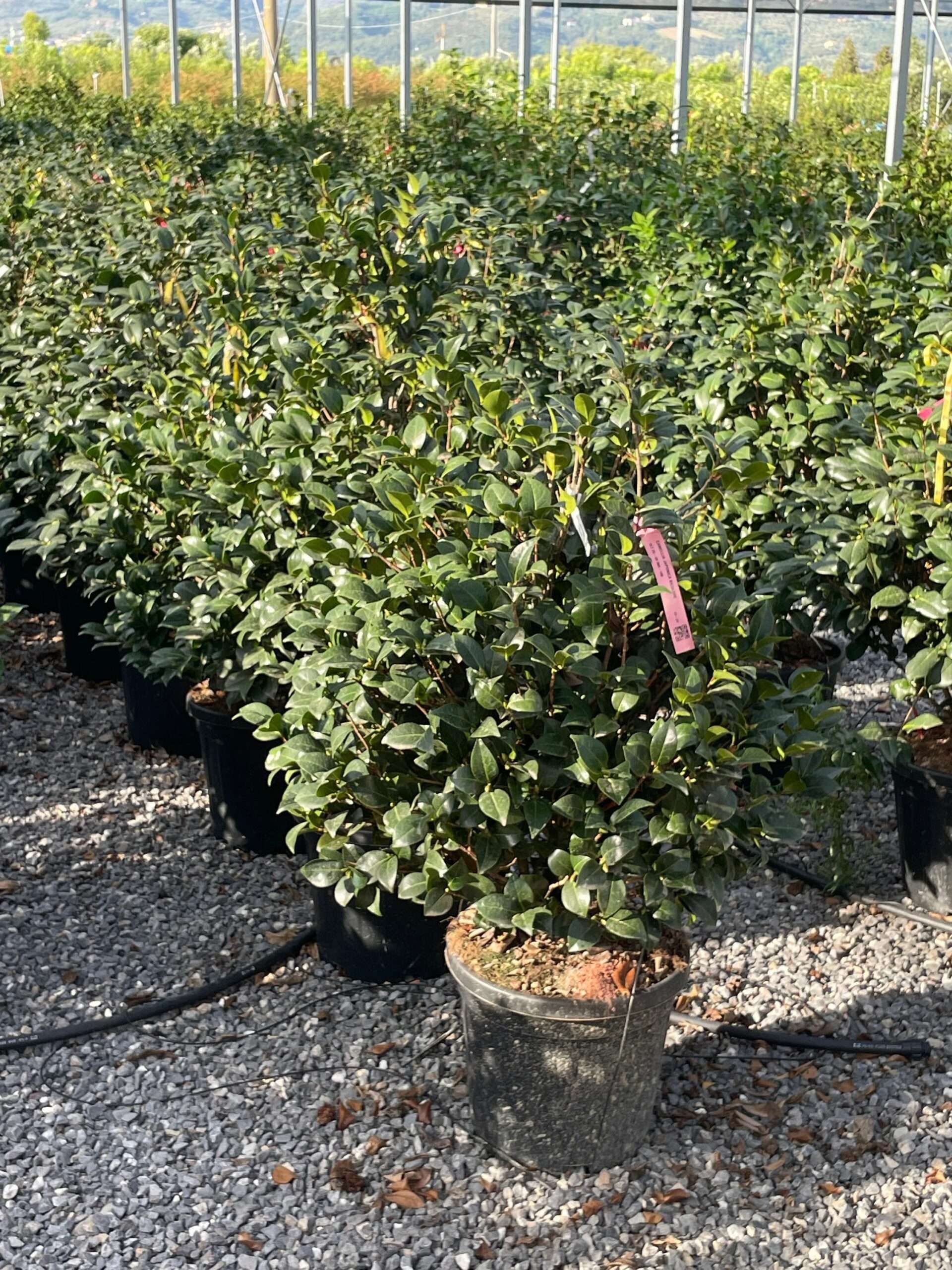 1691511928 scaled e32710ef