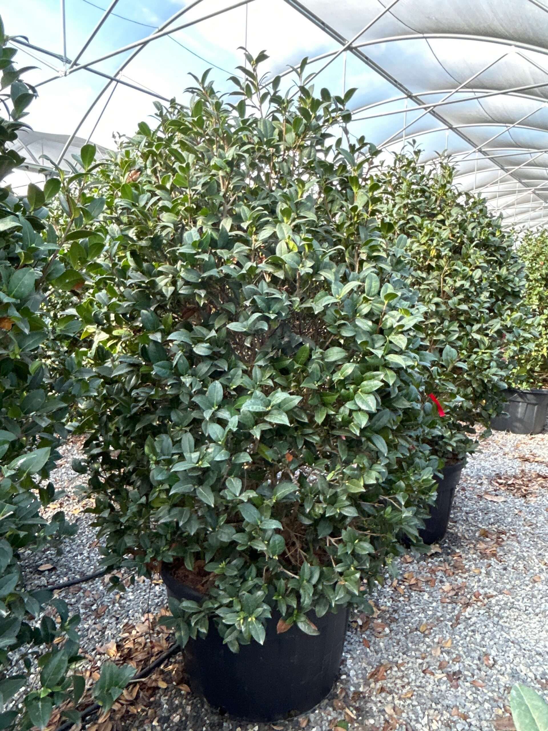 1697287372 scaled e32f6bde