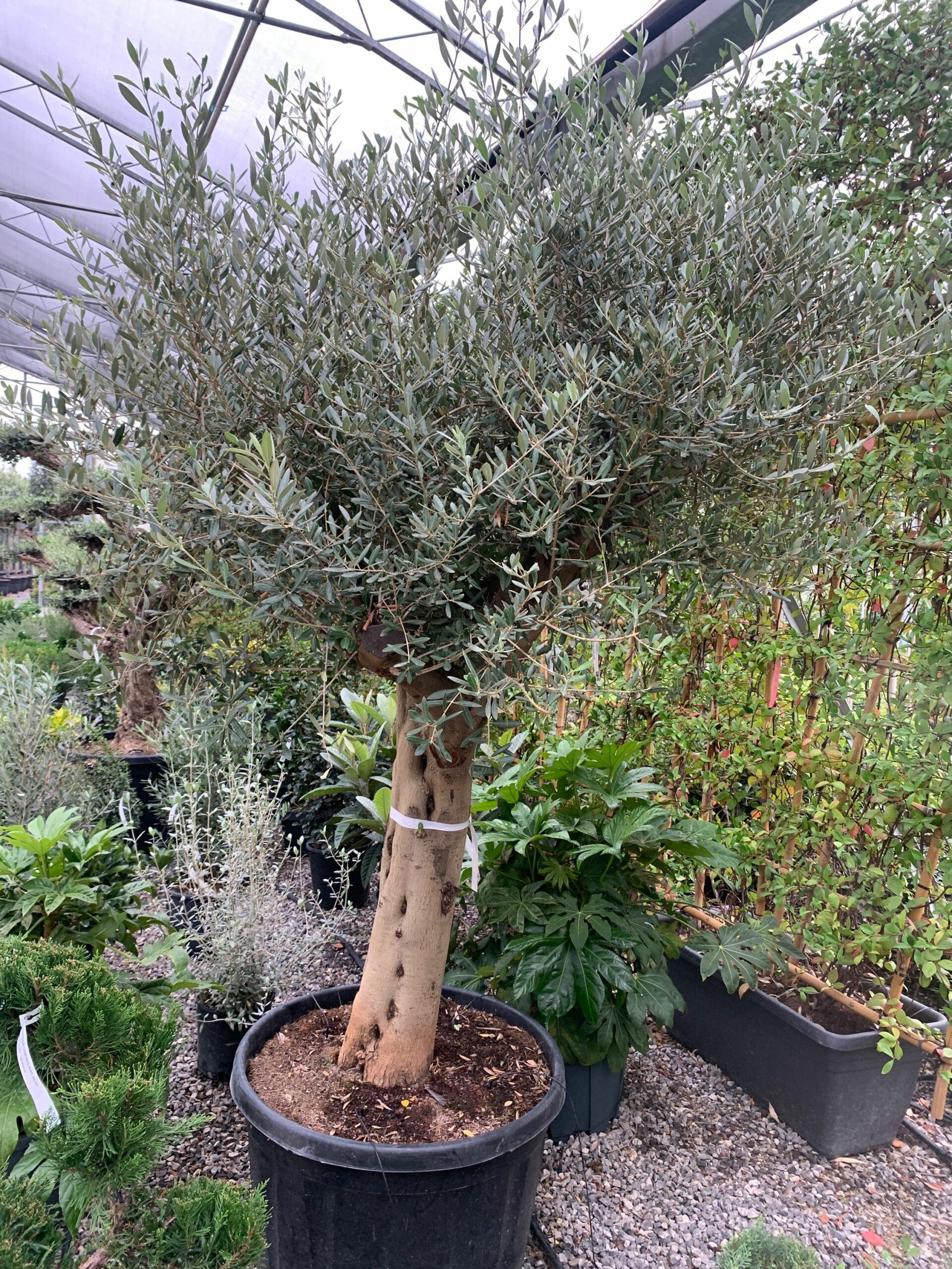 1633337673 scaled e4c8c726