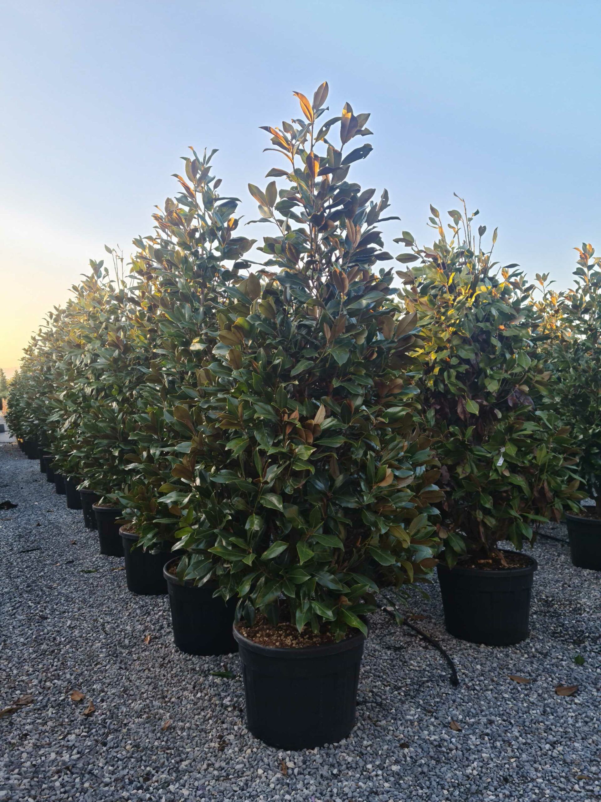 1642779448 scaled e45edda6