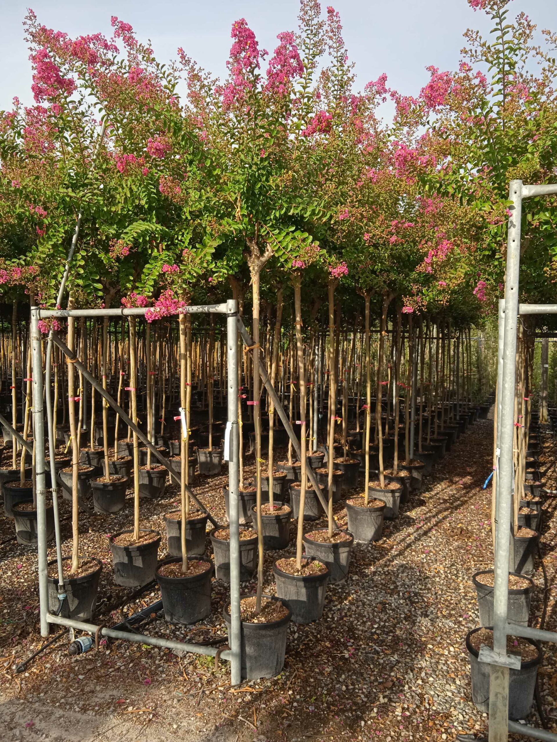 1662015316 scaled e47b336a