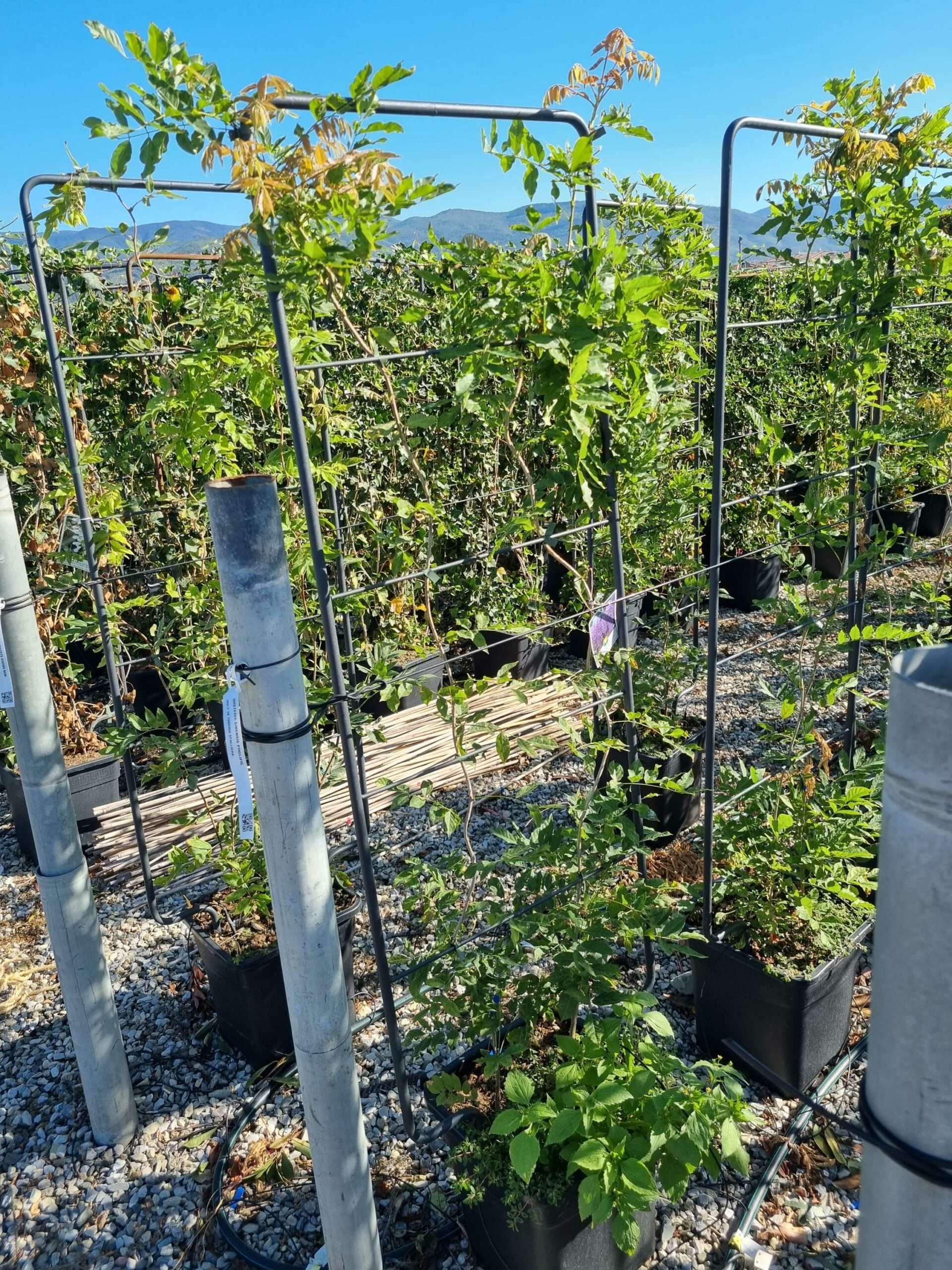 1663661655 scaled e4e70ce0