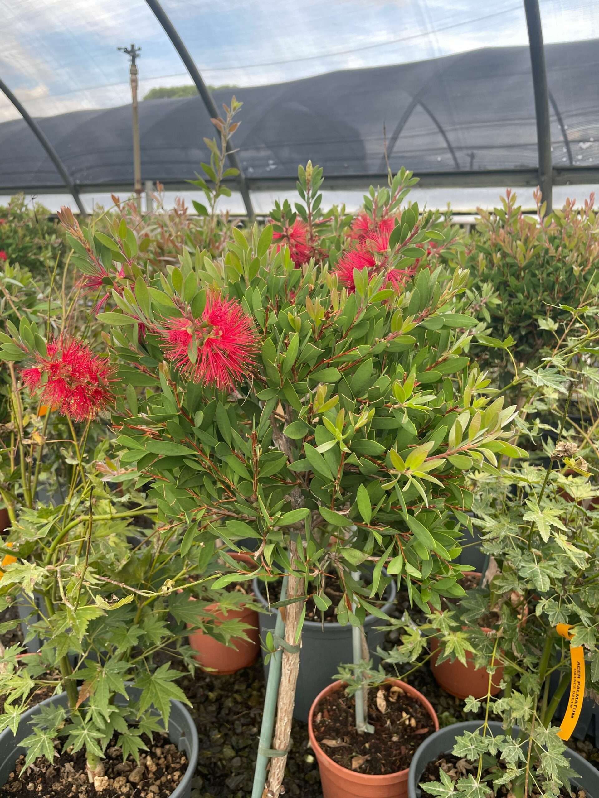 1665493194 scaled e49c6e22