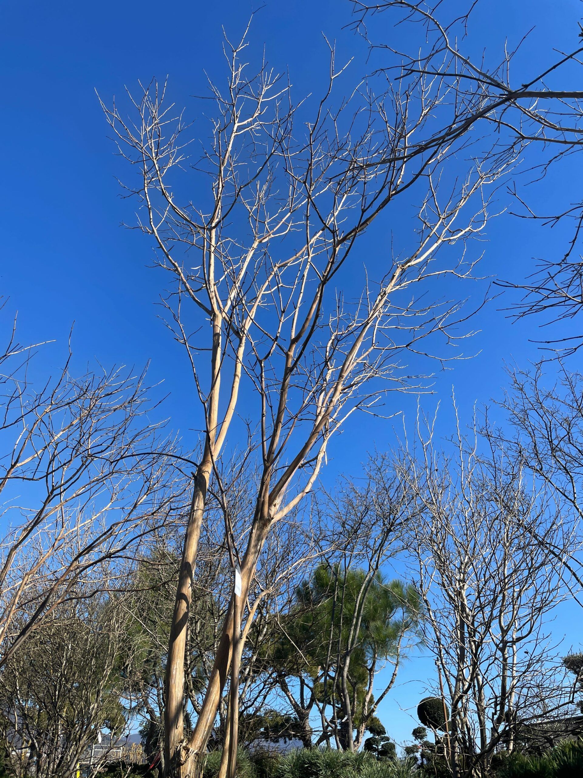 1675683892 scaled e4211f69