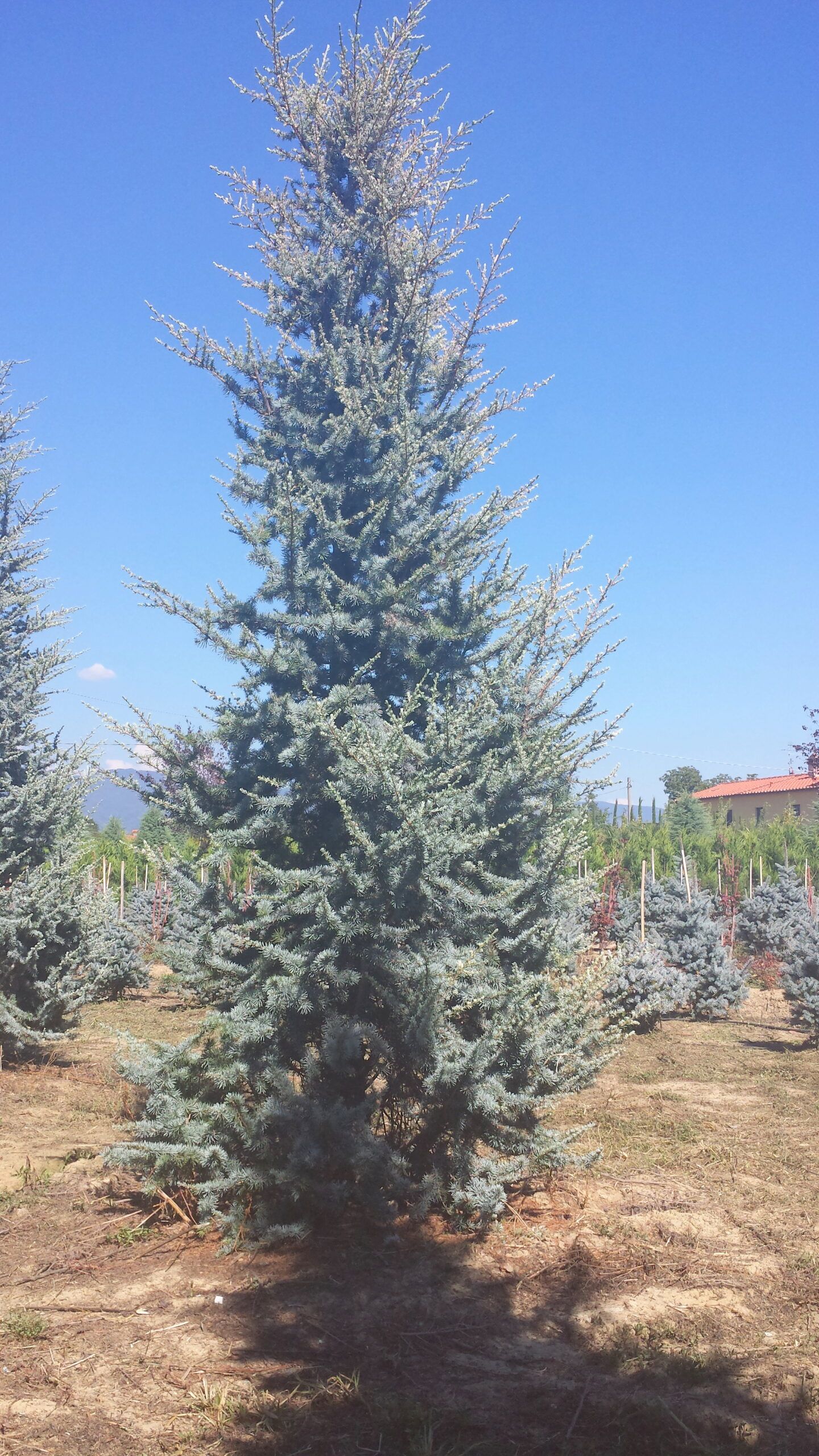 1609866824 scaled e58bf307