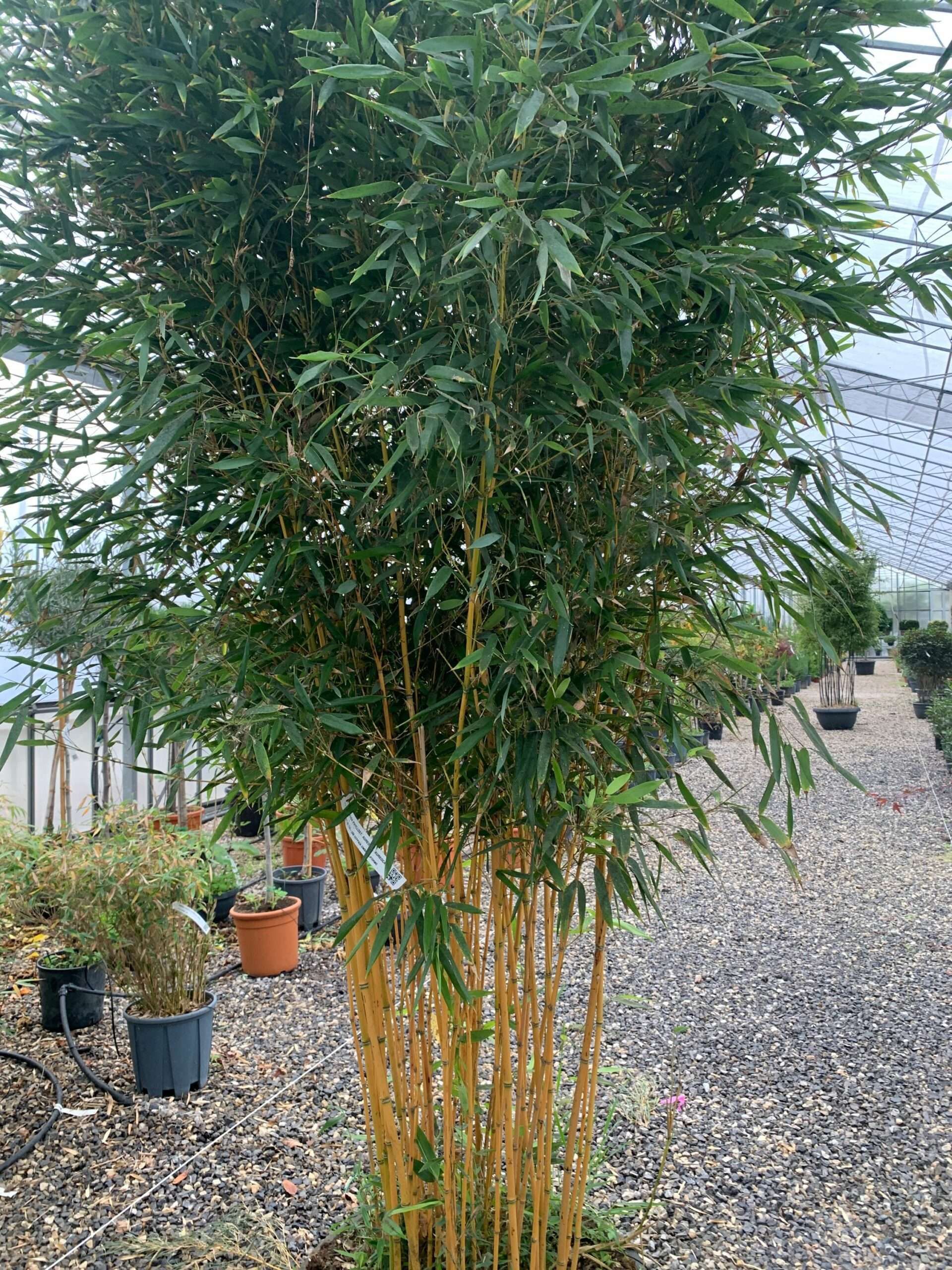 1636967490 scaled e5e678d0