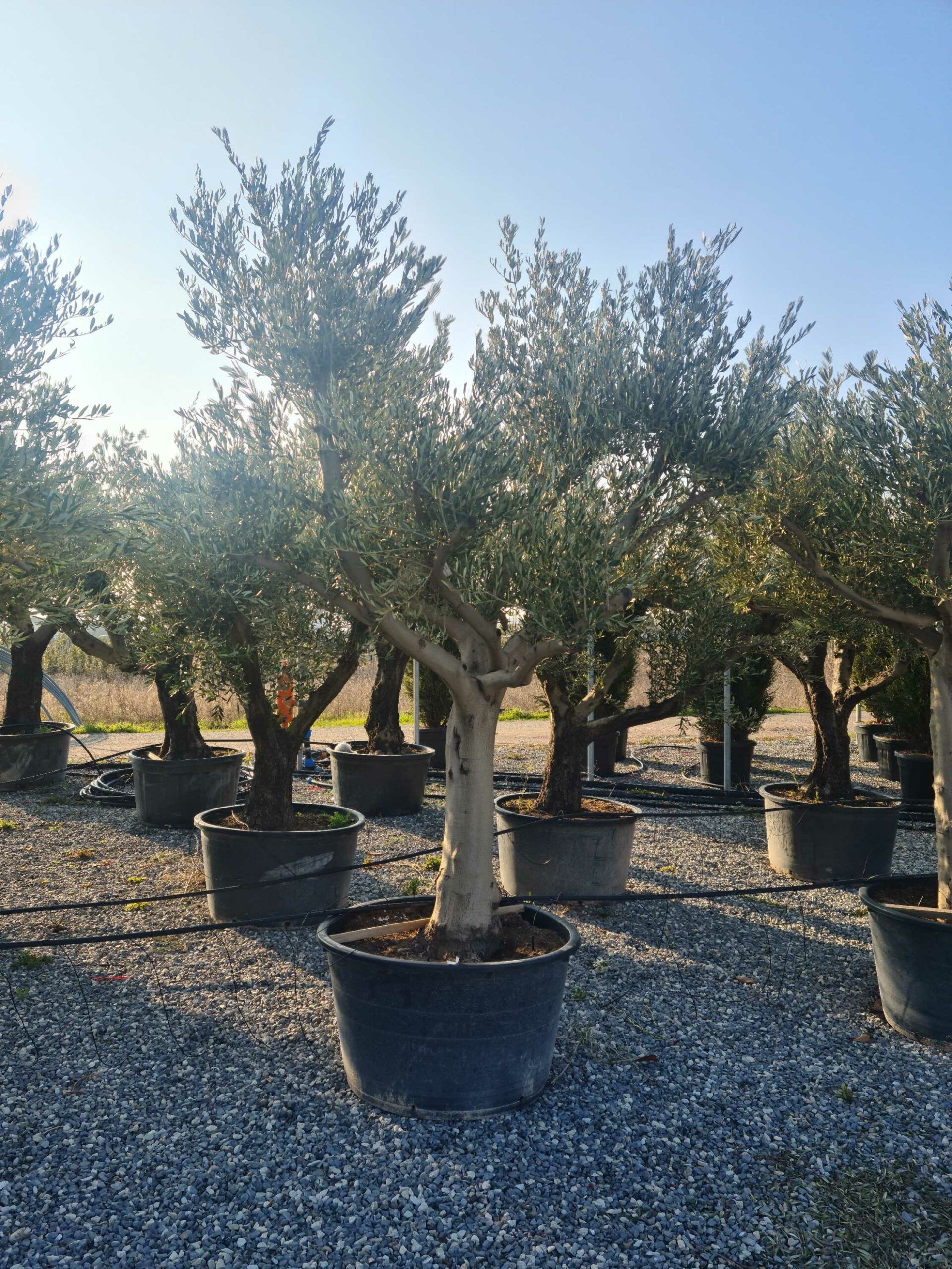 1642772812 scaled e5de6a05