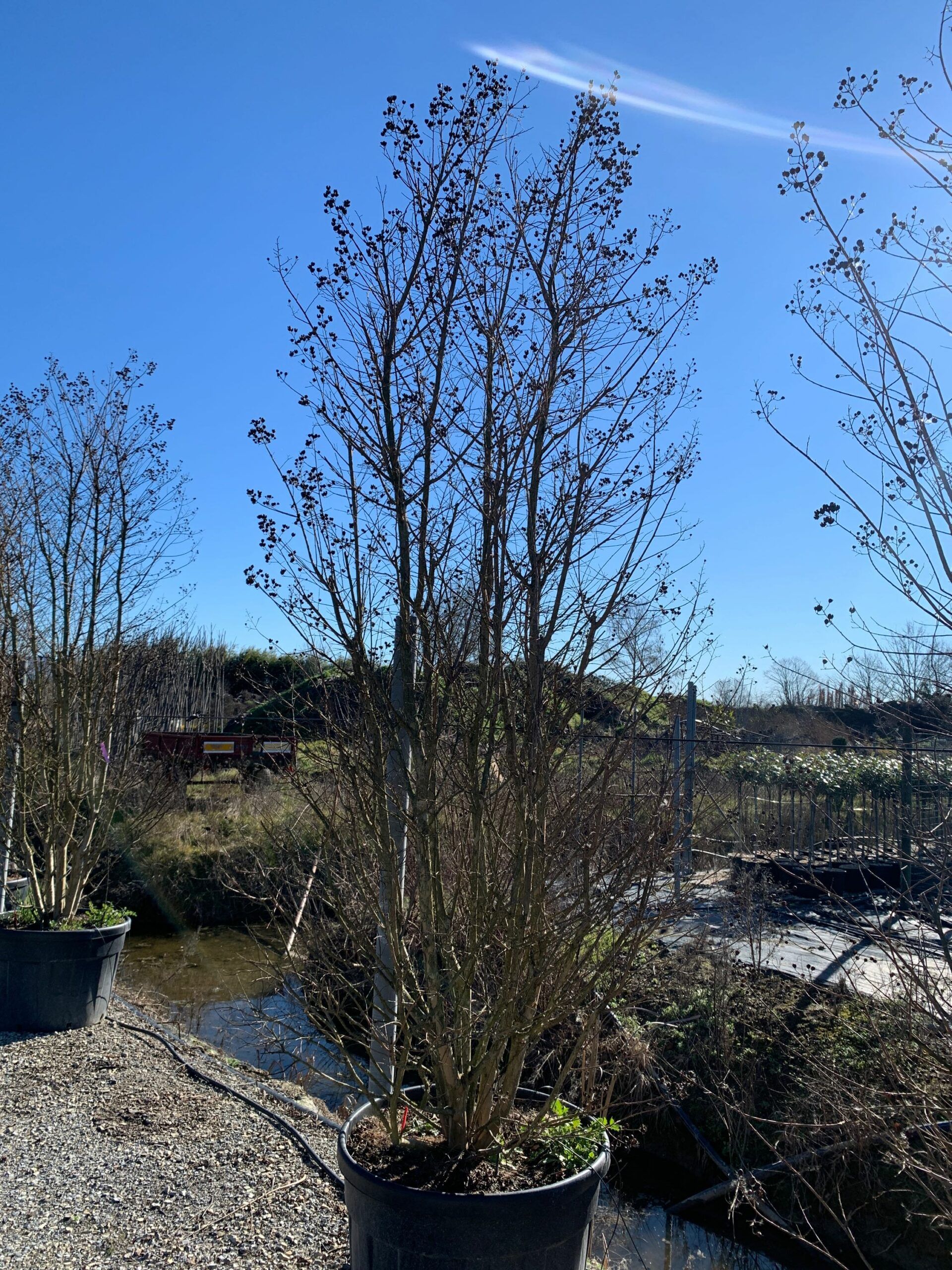 1643710502 scaled e56704a6