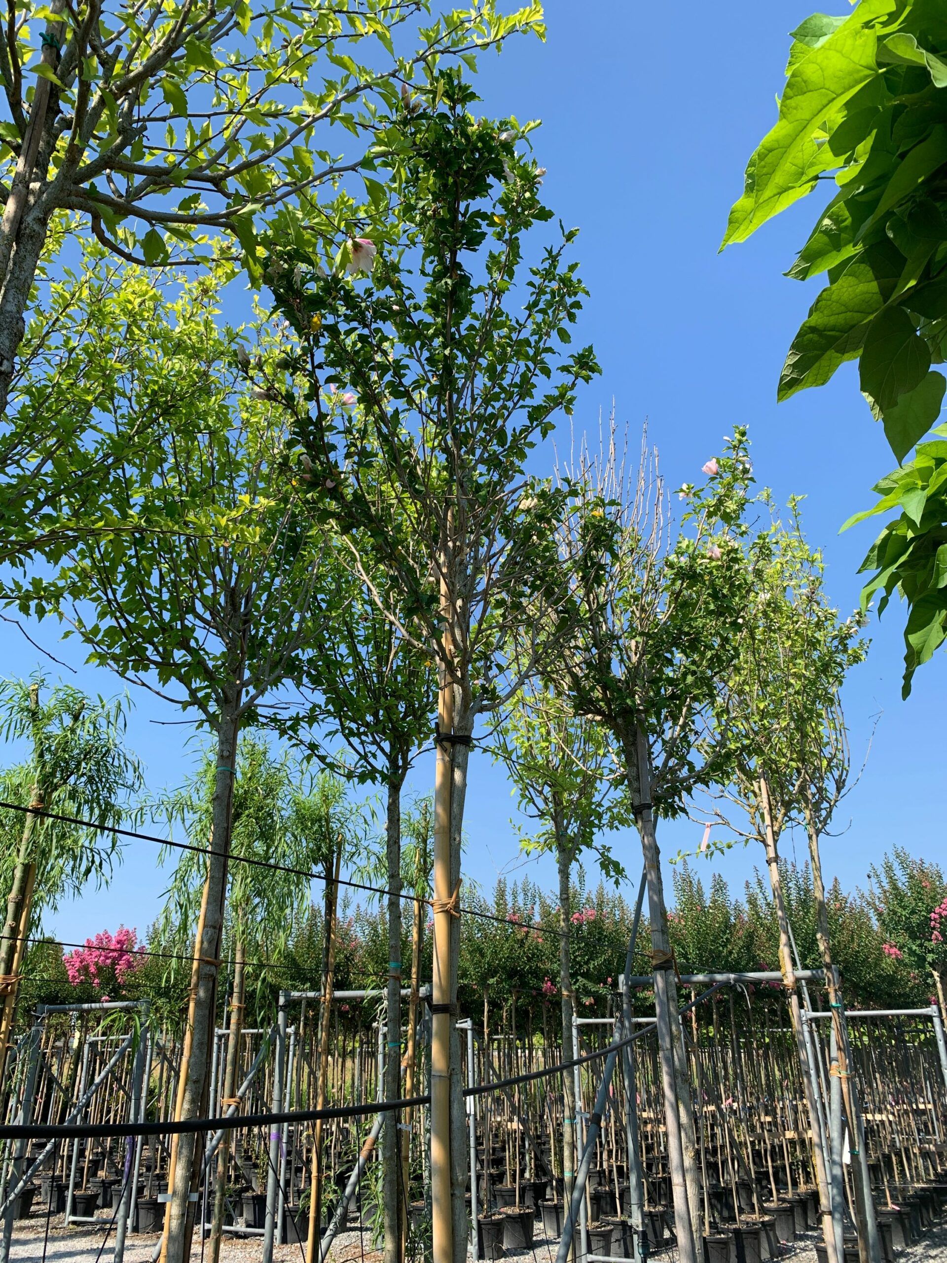 1658131245 scaled e5bdbd34