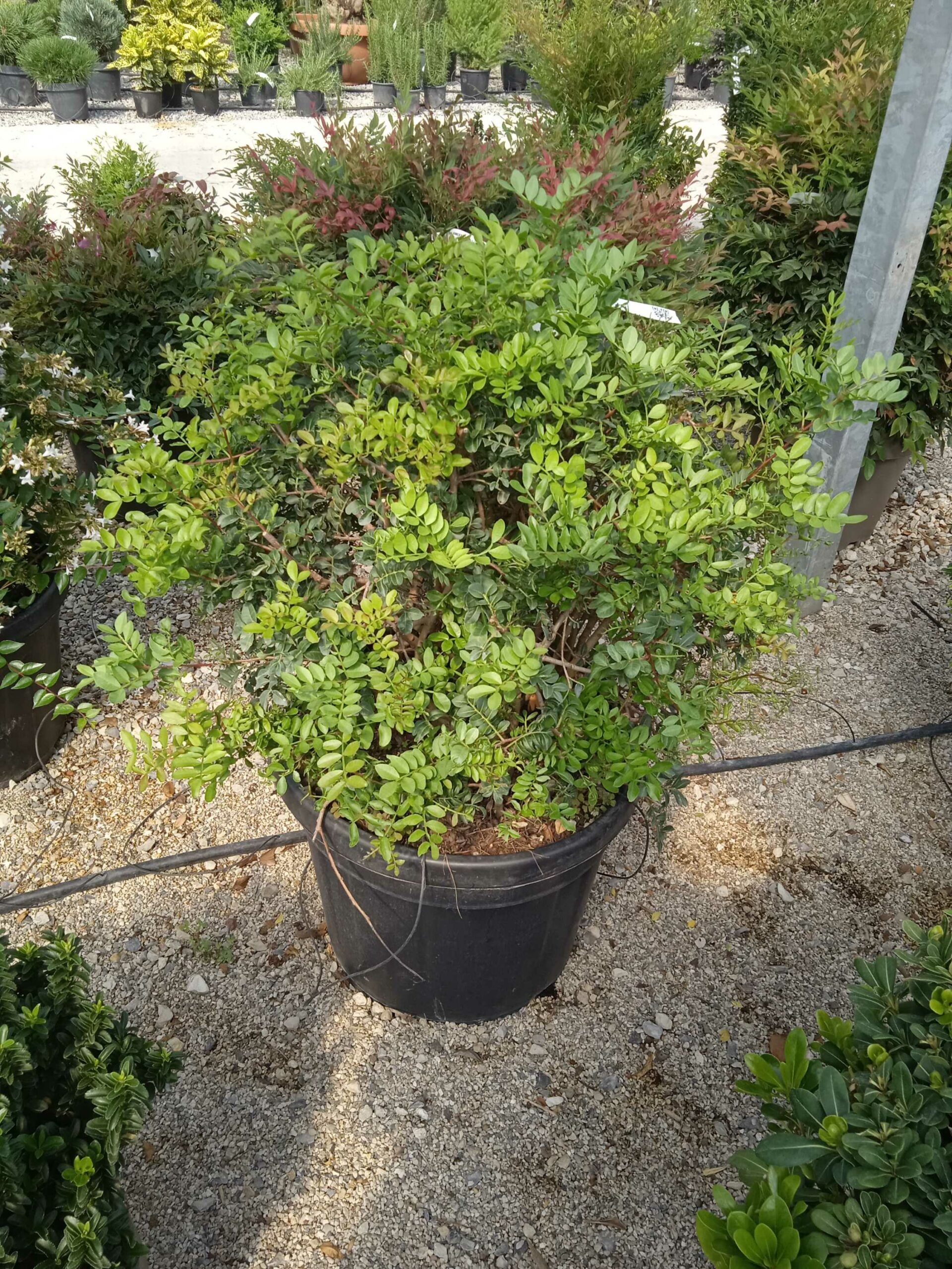 1662369370 scaled e5d8162a