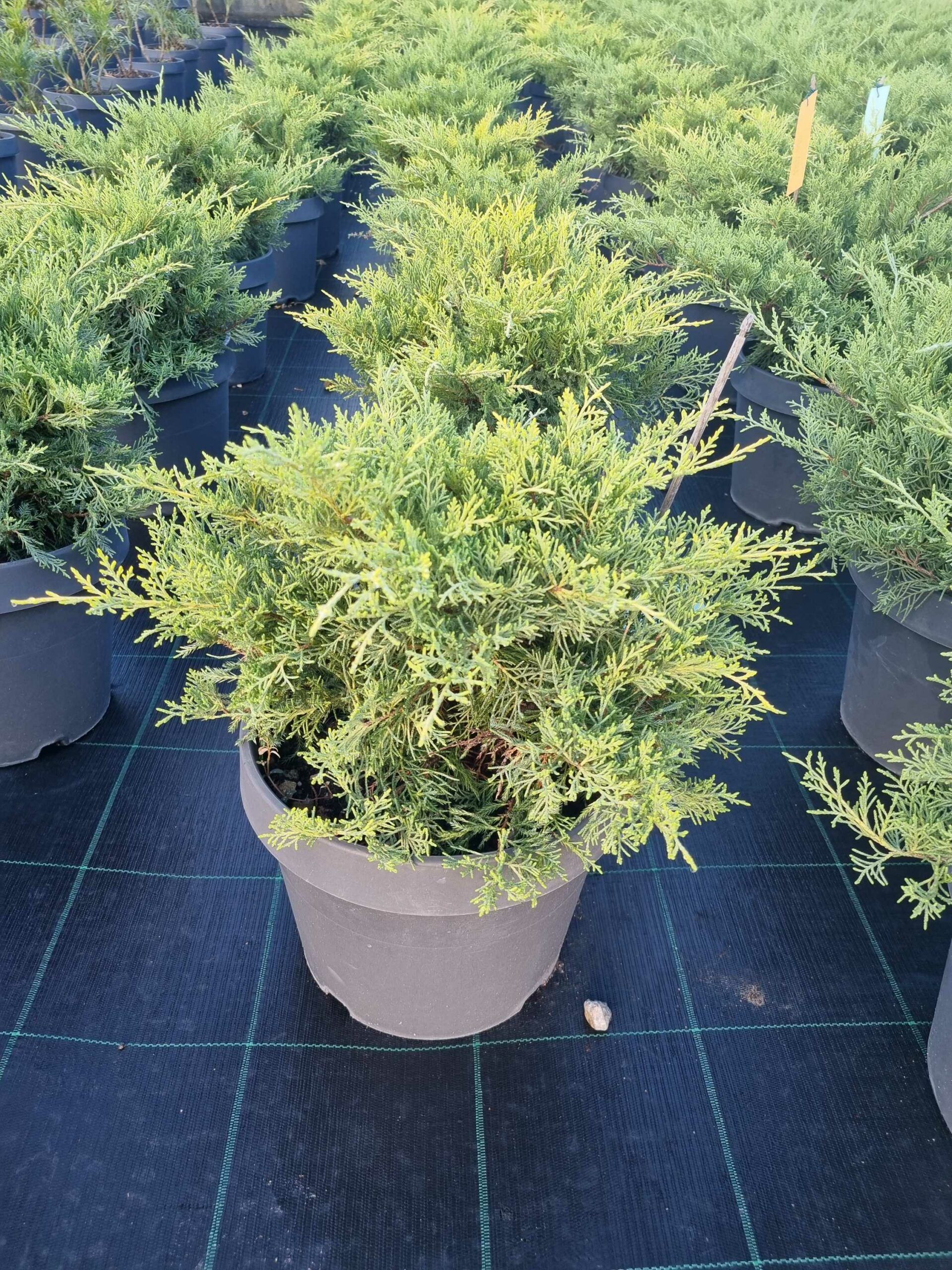 1663569902 scaled e5ed57c0