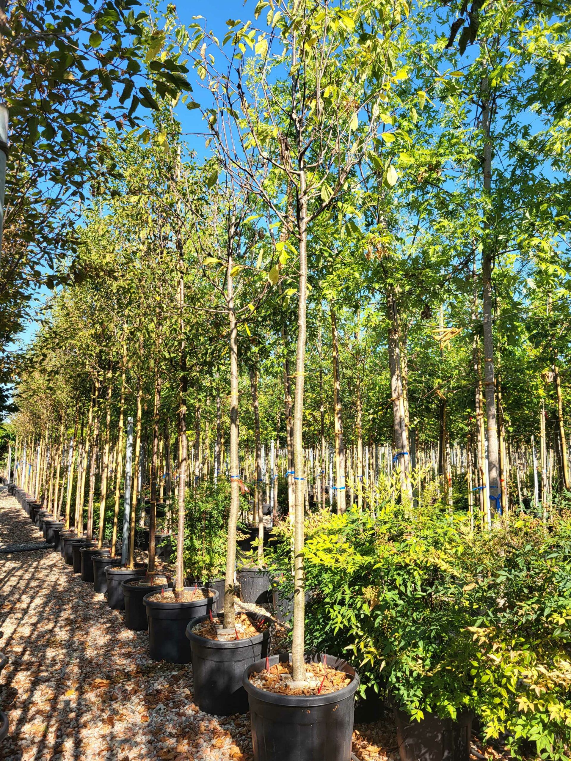 1692689908 scaled e52e18f2