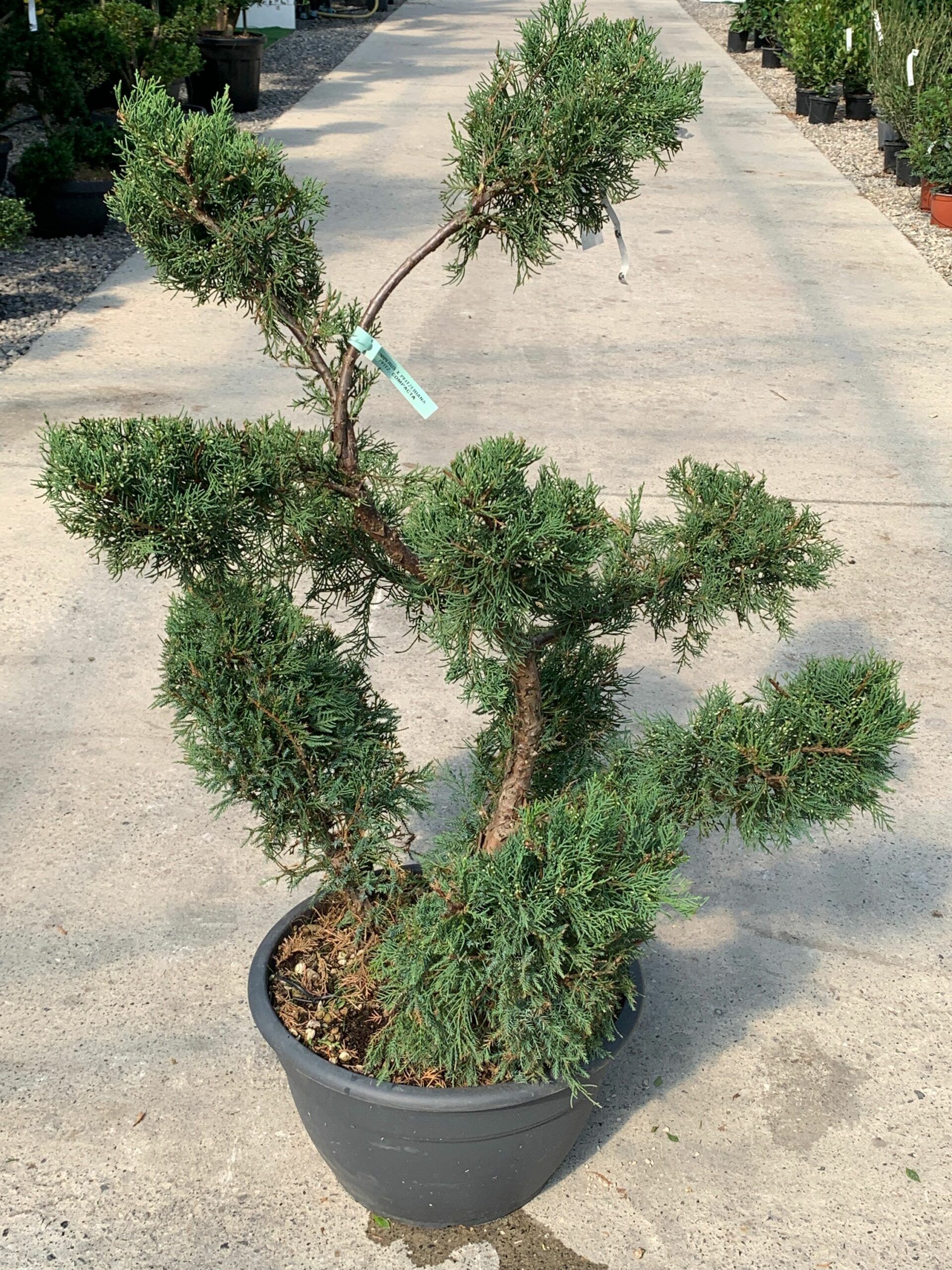 1632833096 scaled e6fcc3e3