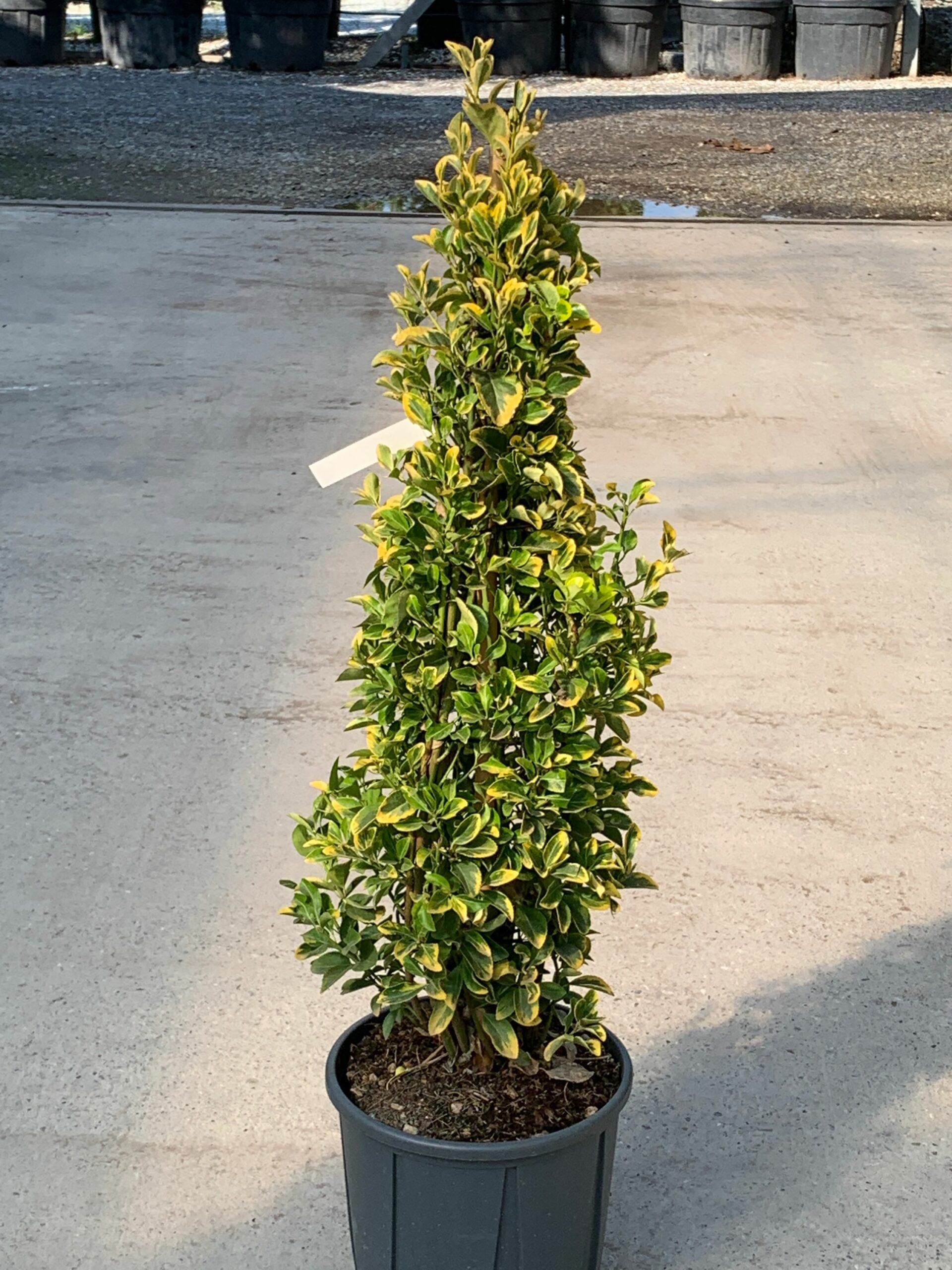 1632836397 scaled e6a178e9