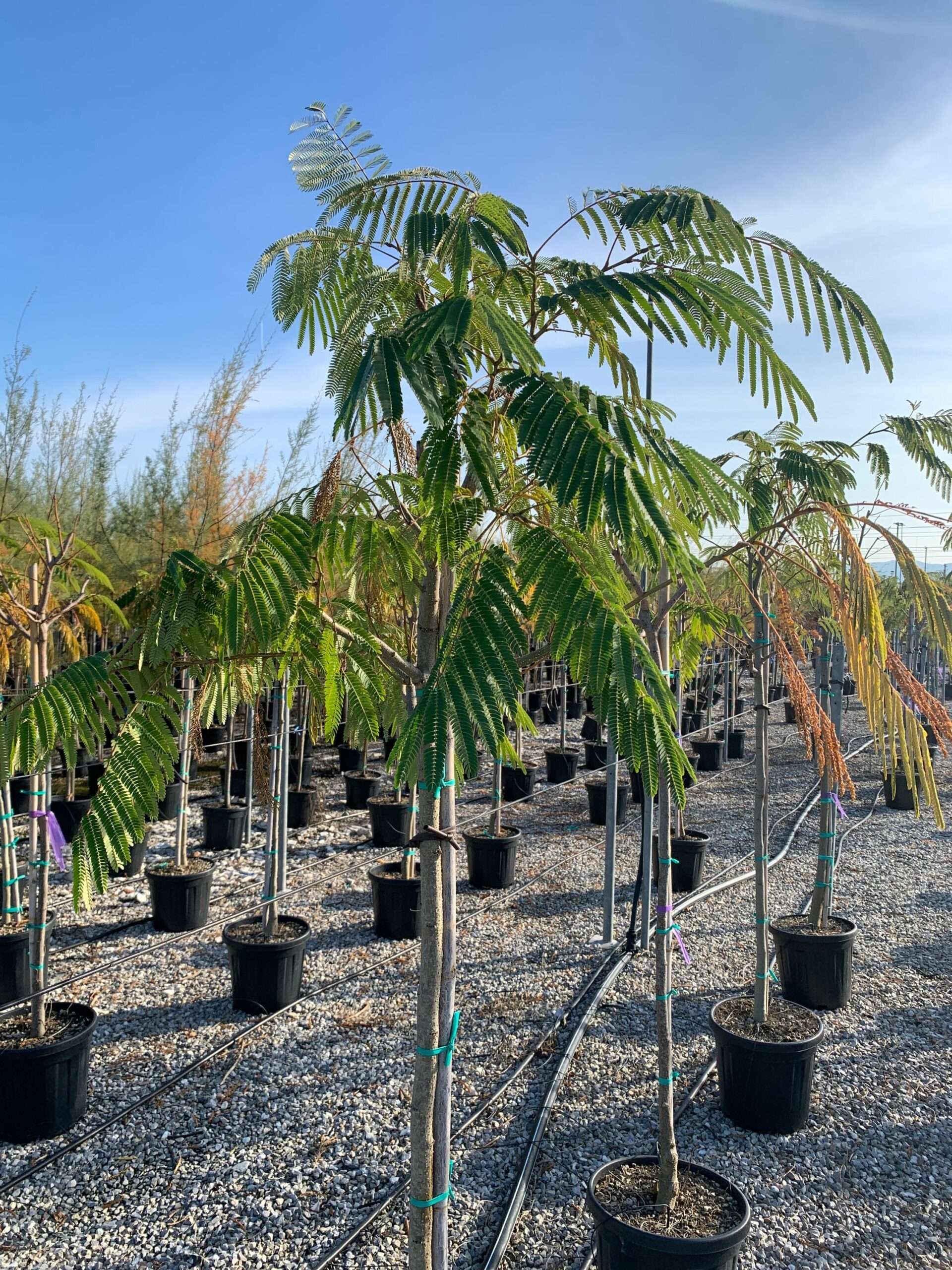 1635429057 scaled e697daea