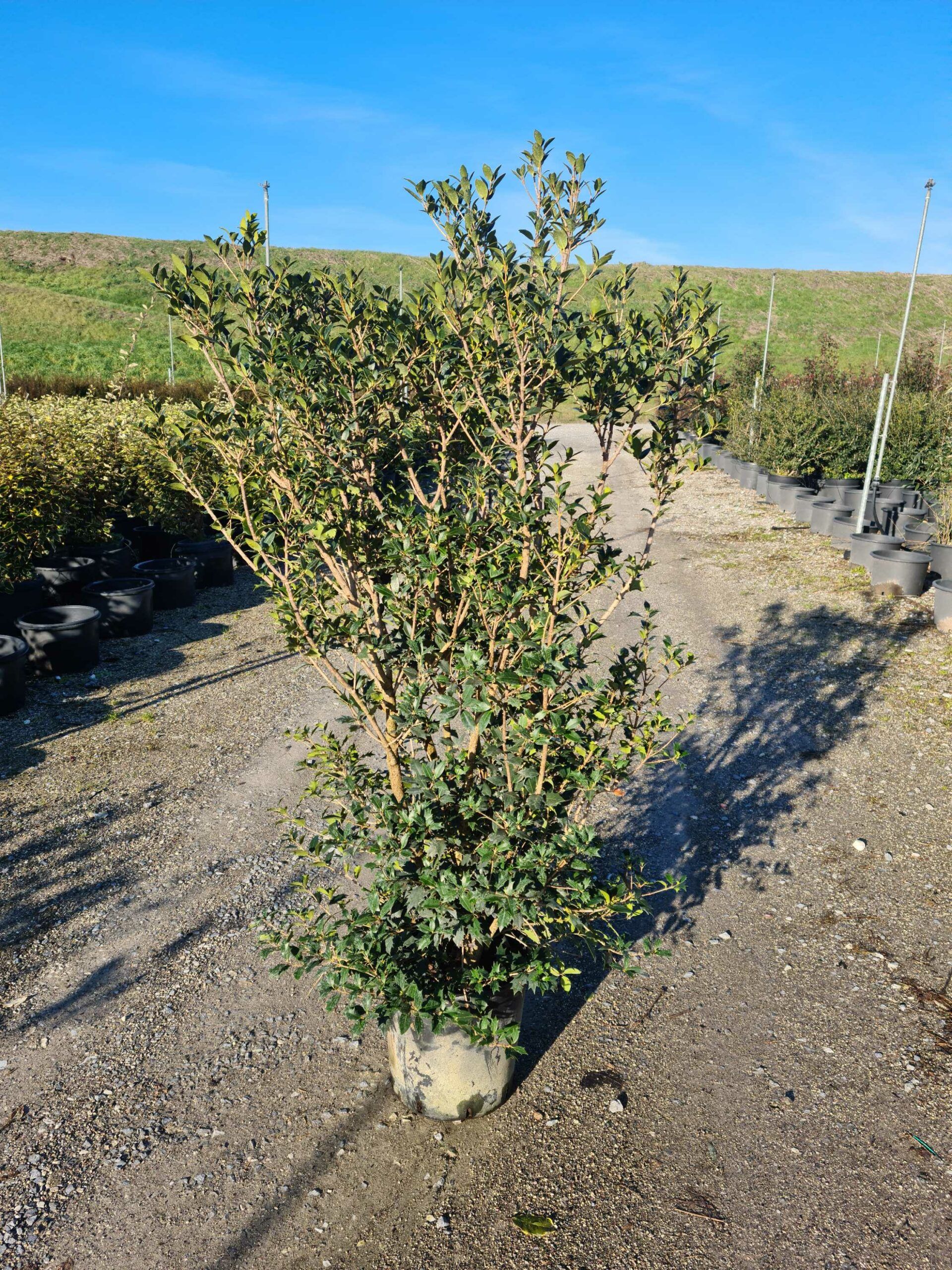 1642840788 scaled e6b4dba9