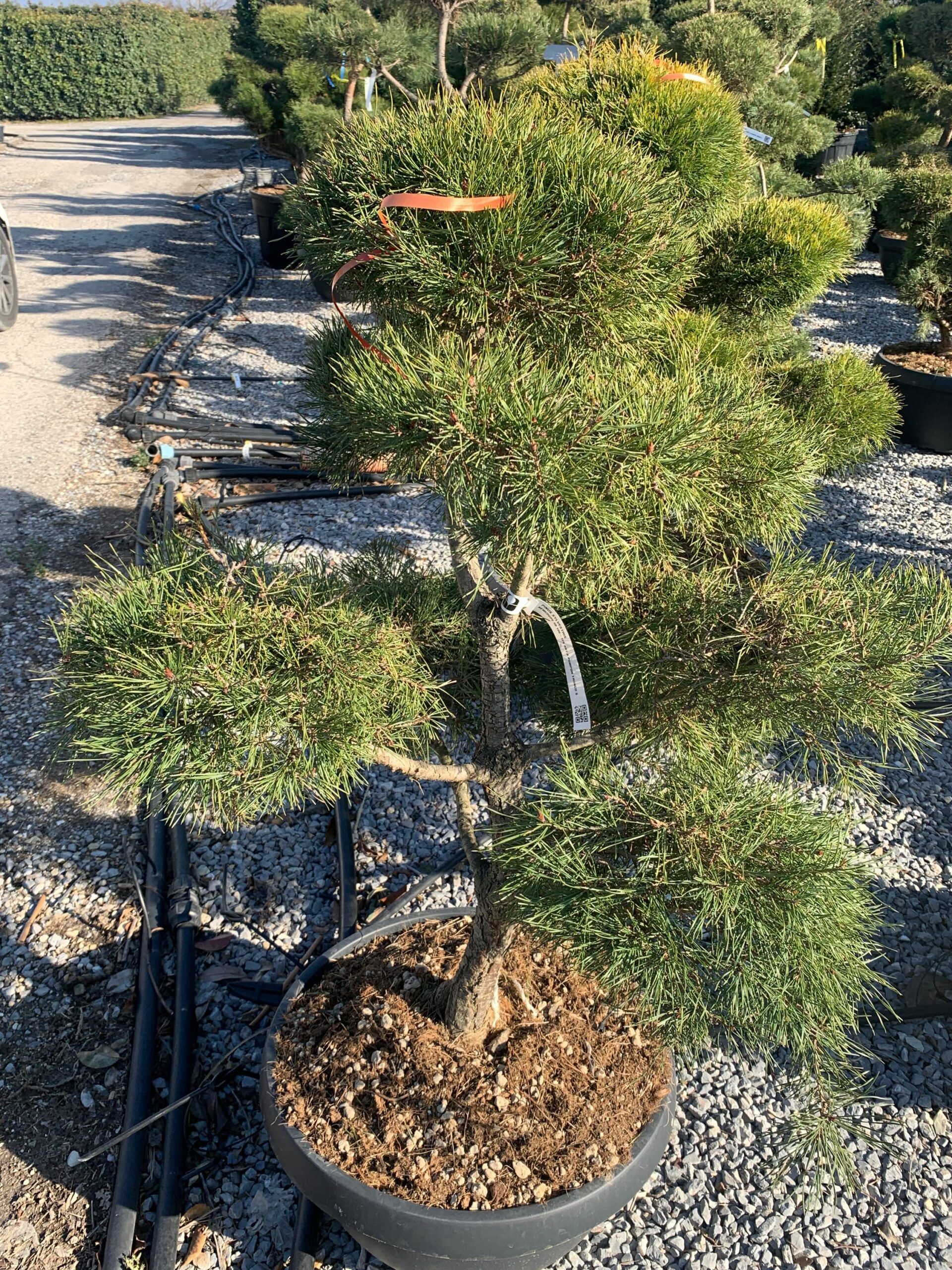 1644414464 scaled e6cbcf86