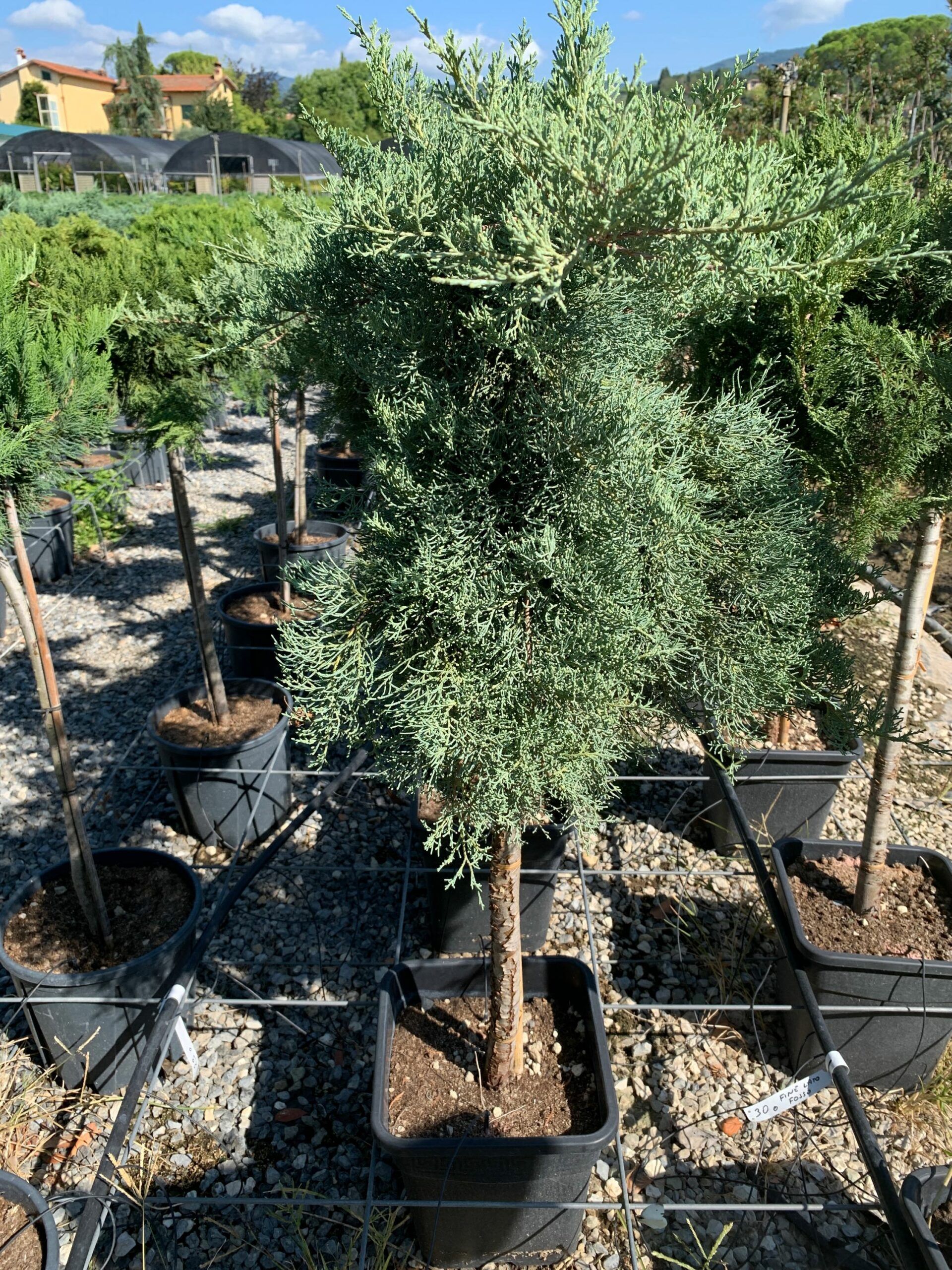 1662109055 scaled e69773f0