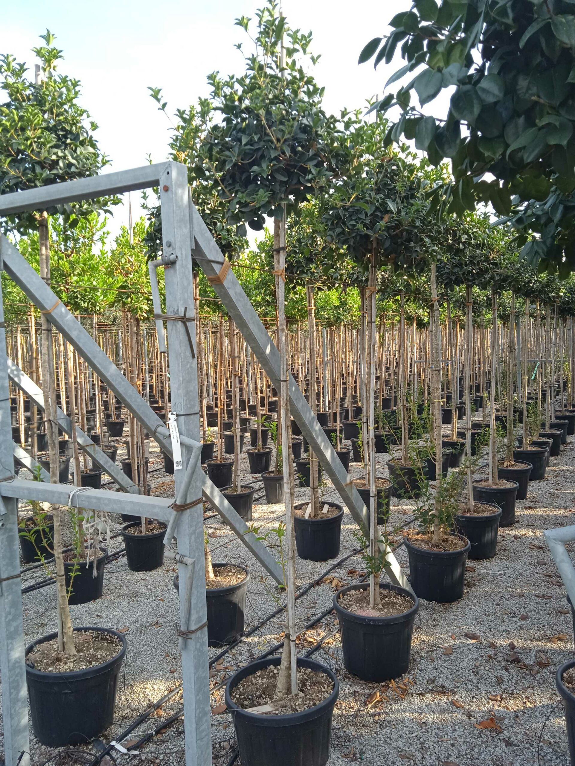 1662132057 scaled e62683fb