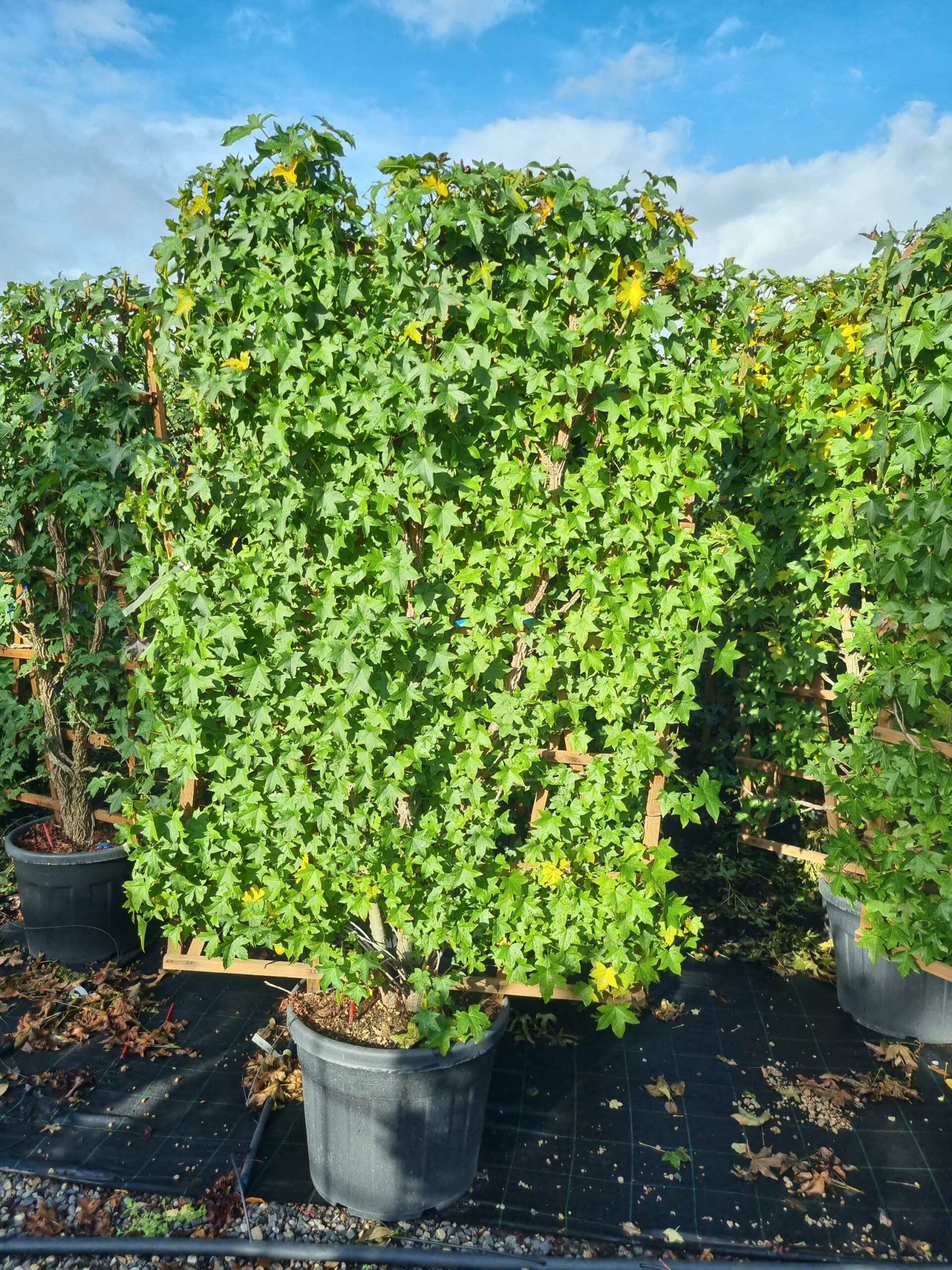 1664436199 scaled e642dc2c