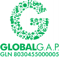 certificazione global gap Innocenti & Mangoni Piante