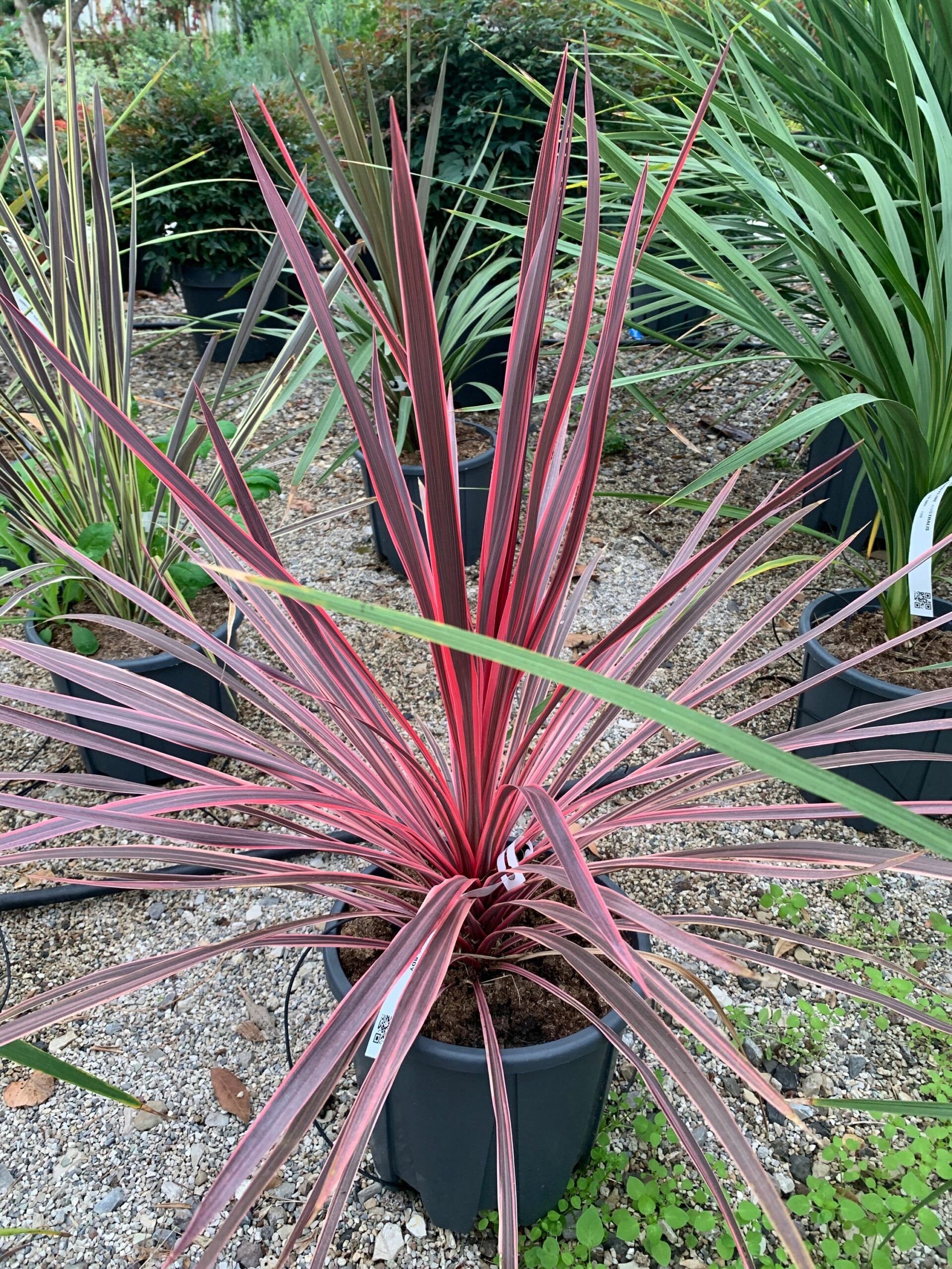 1636970692 scaled e78d3db9