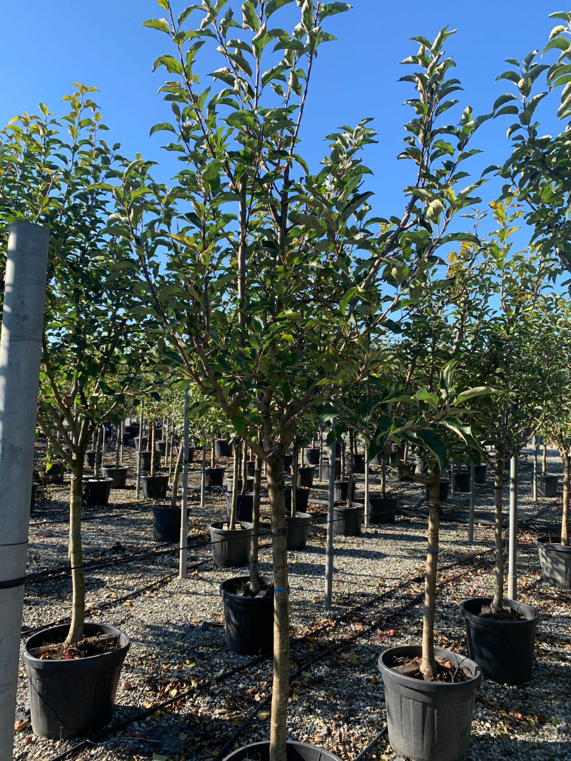 1637747852 scaled e7ab8ce6