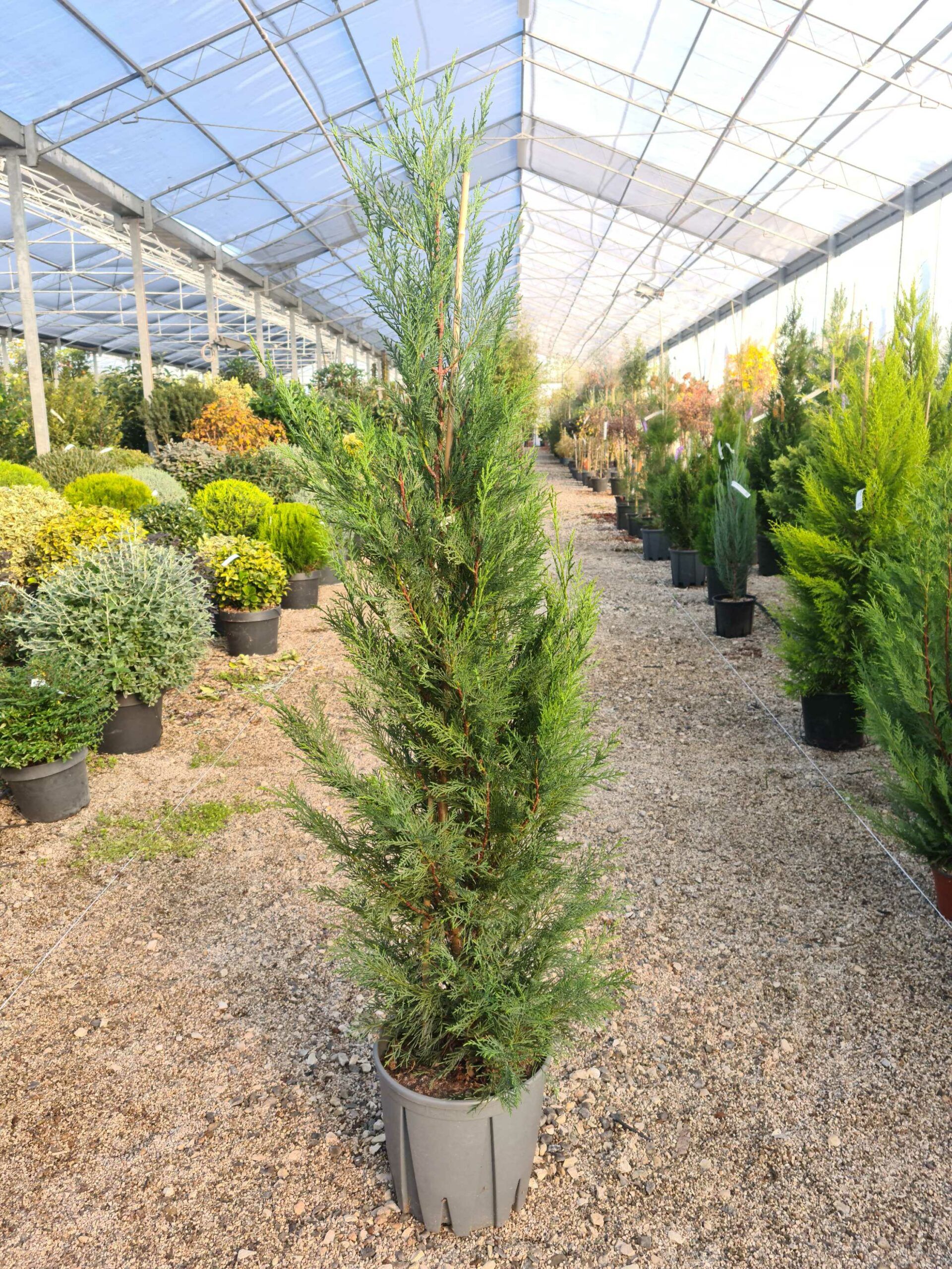 1639473535 scaled e7035a52