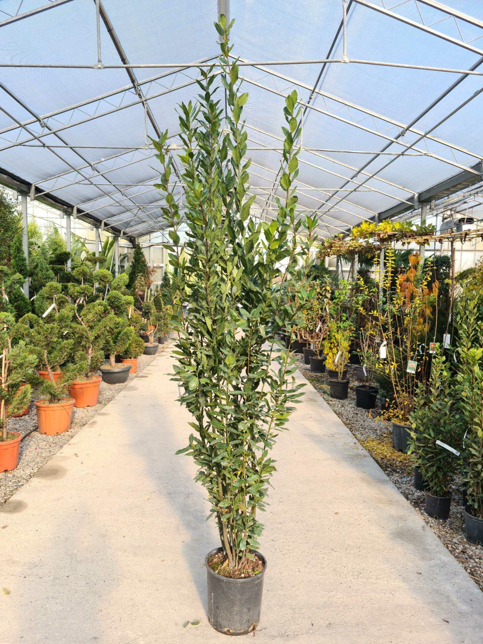 1639478594 scaled e75b6399