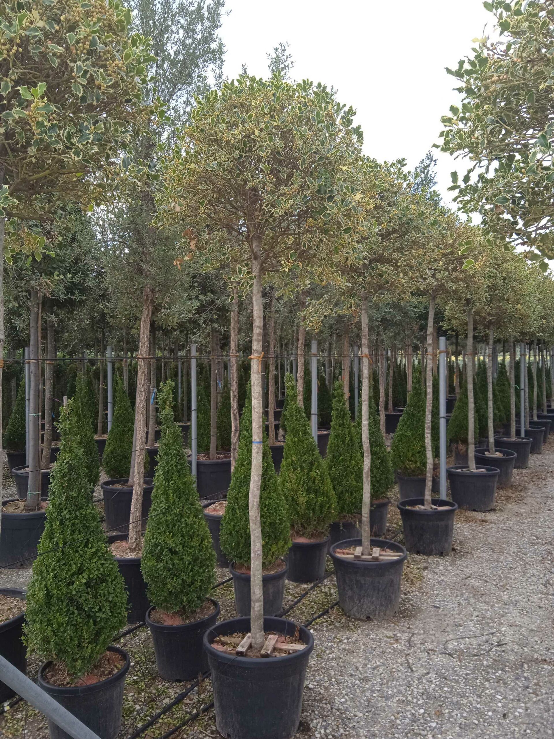 1661955937 scaled e73a4711