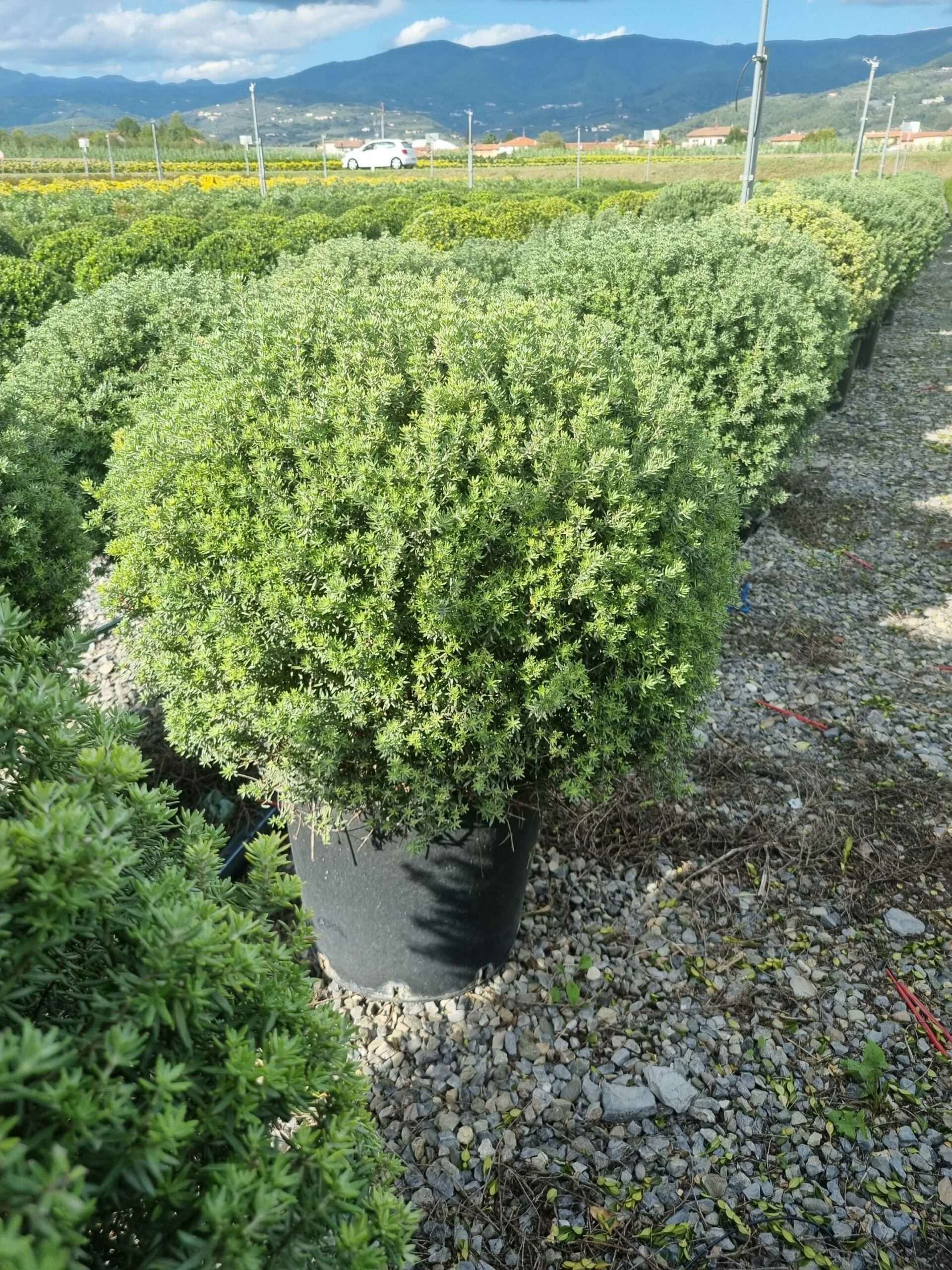 1663596172 scaled e76bed4e