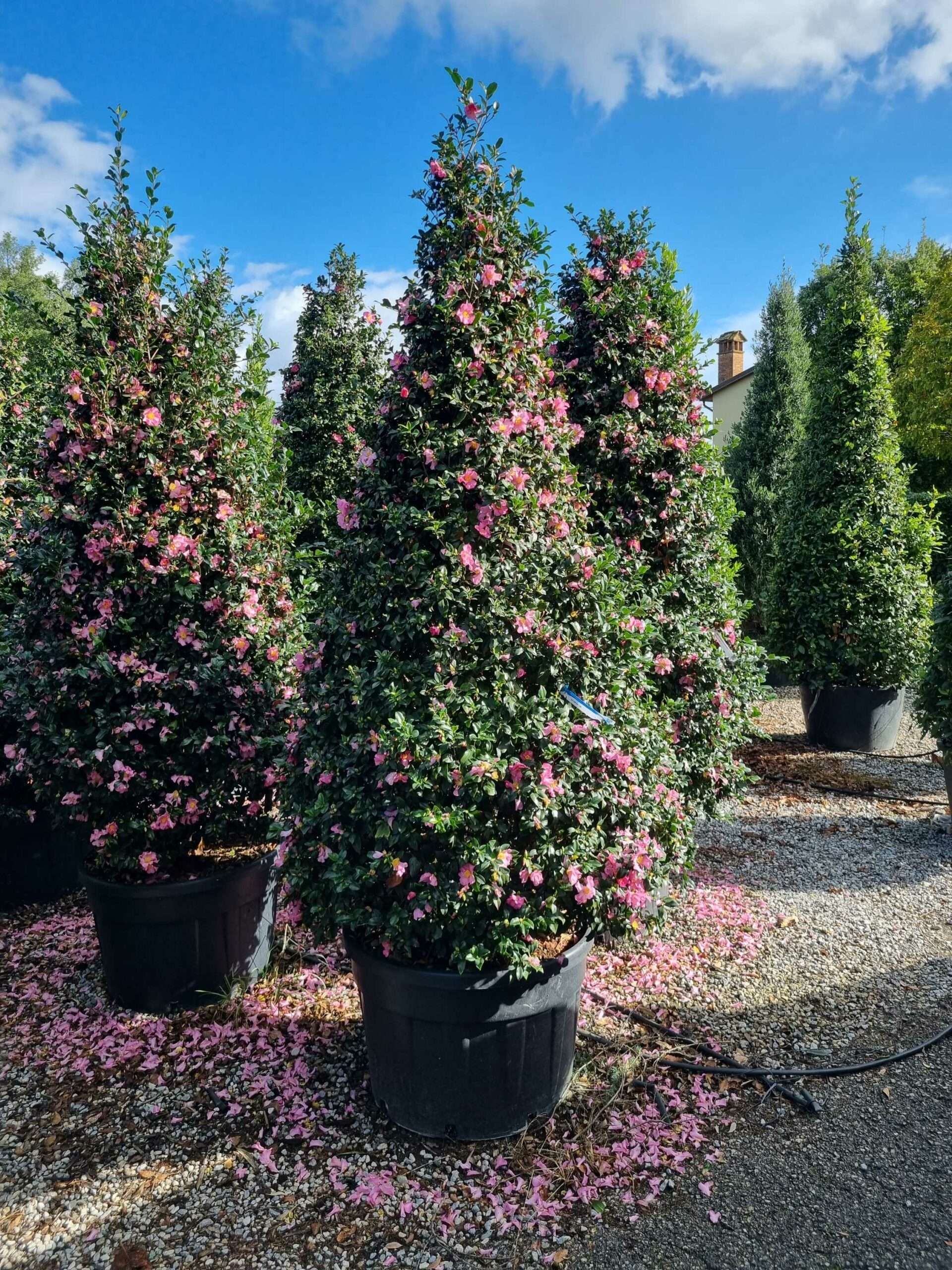 1667554404 scaled e74954d7