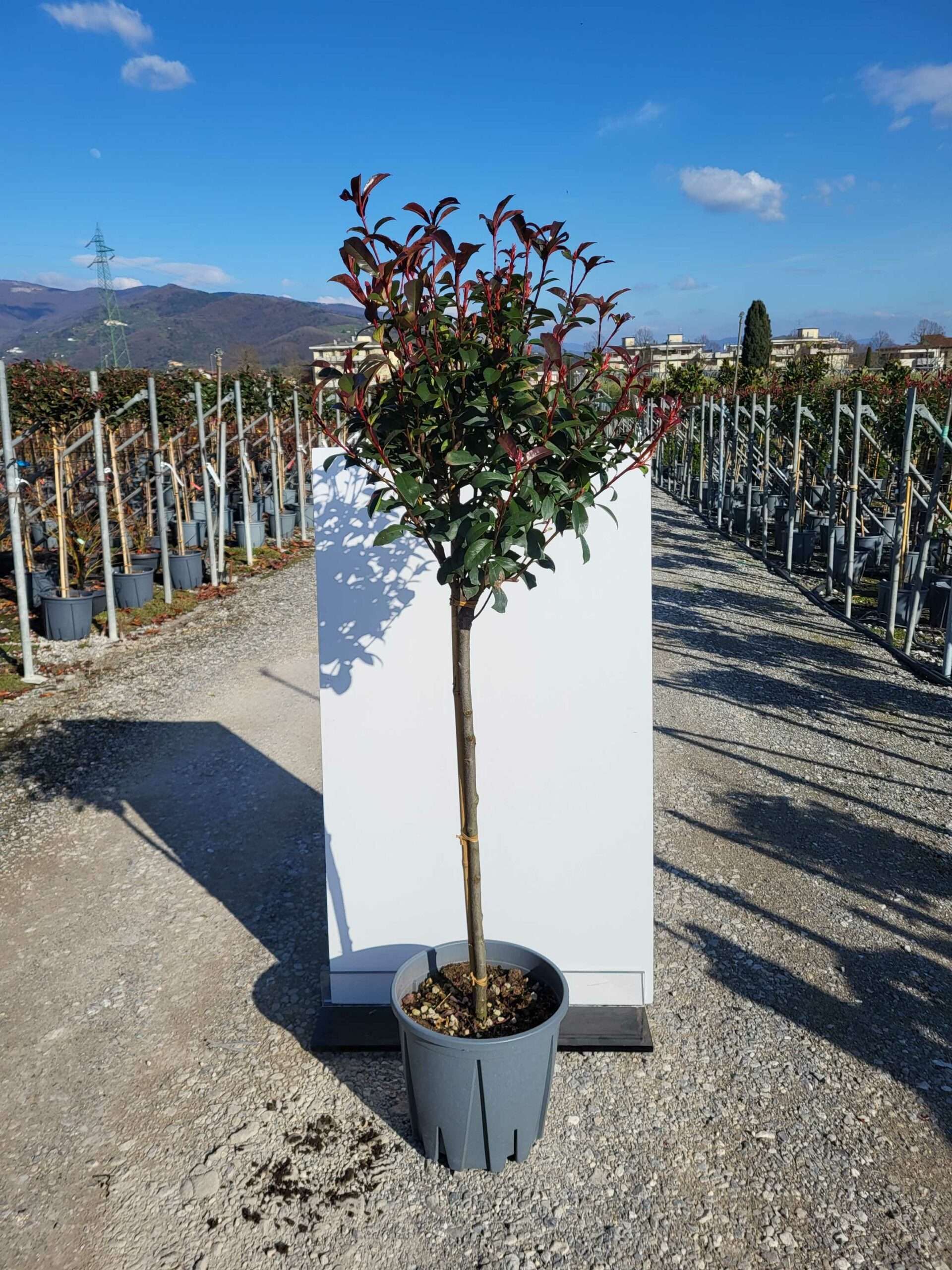 1677852808 scaled e78237cd