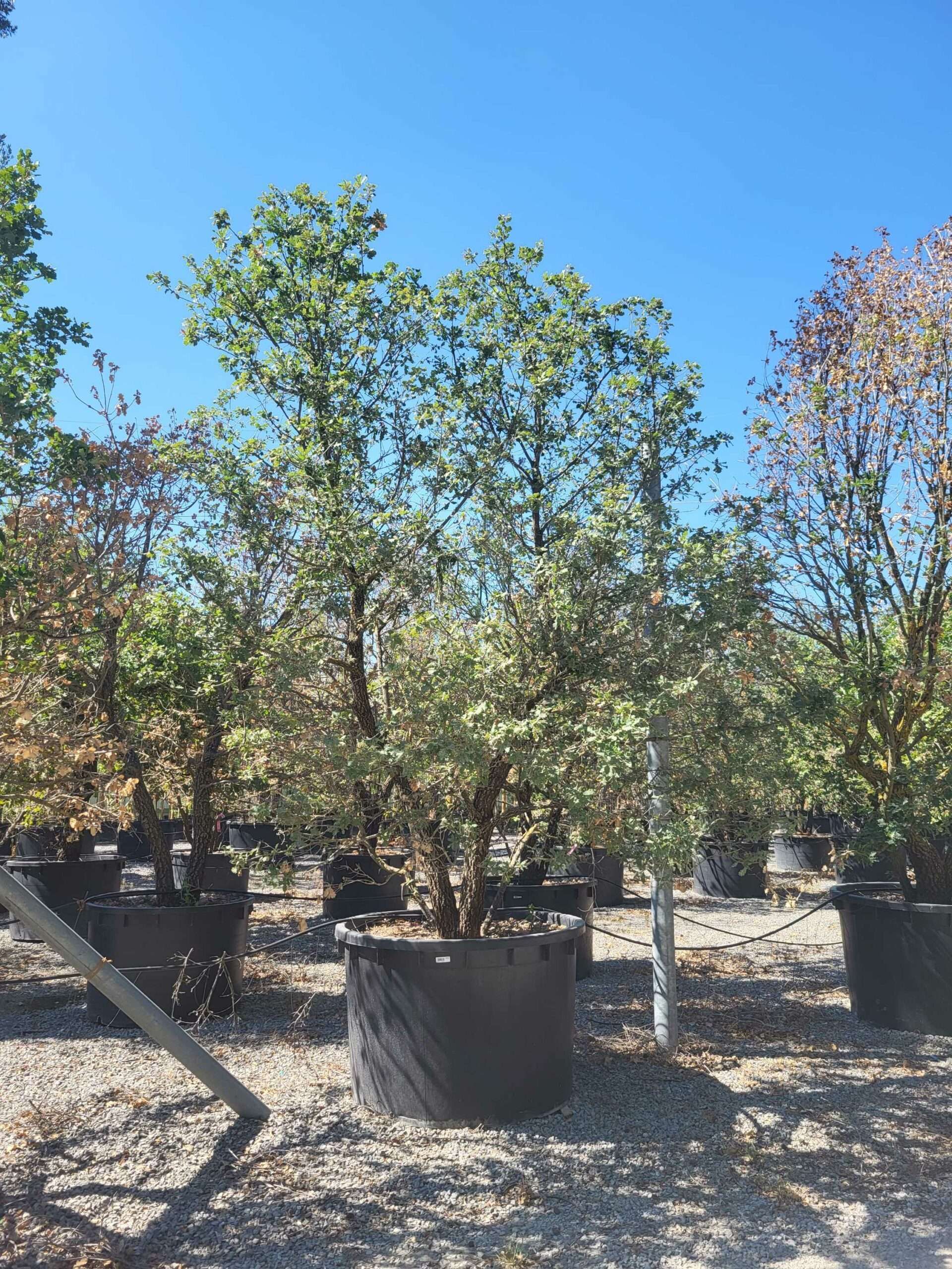 1692710764 scaled e7335cc9