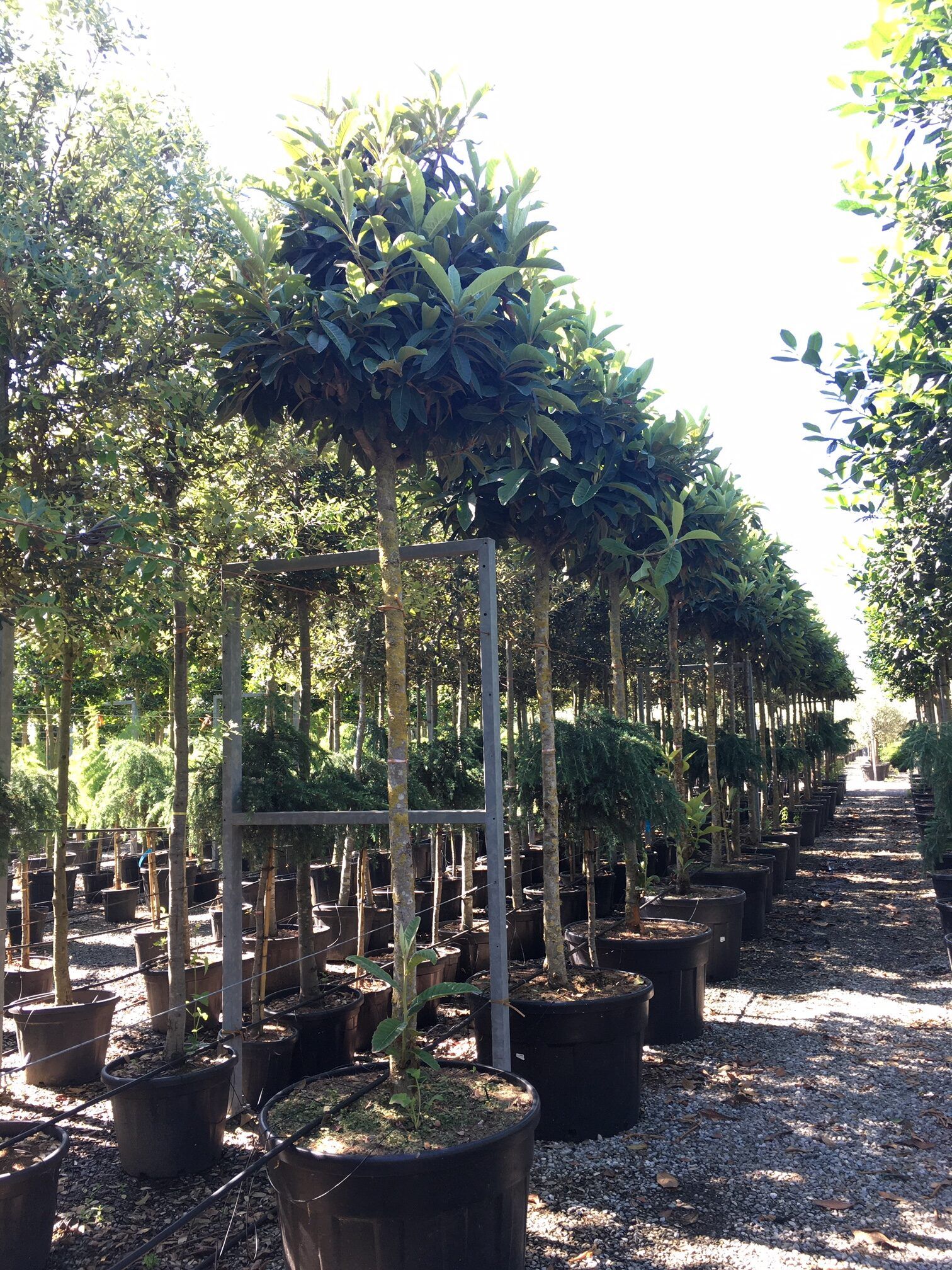 1608712656 rotated e80e45c1