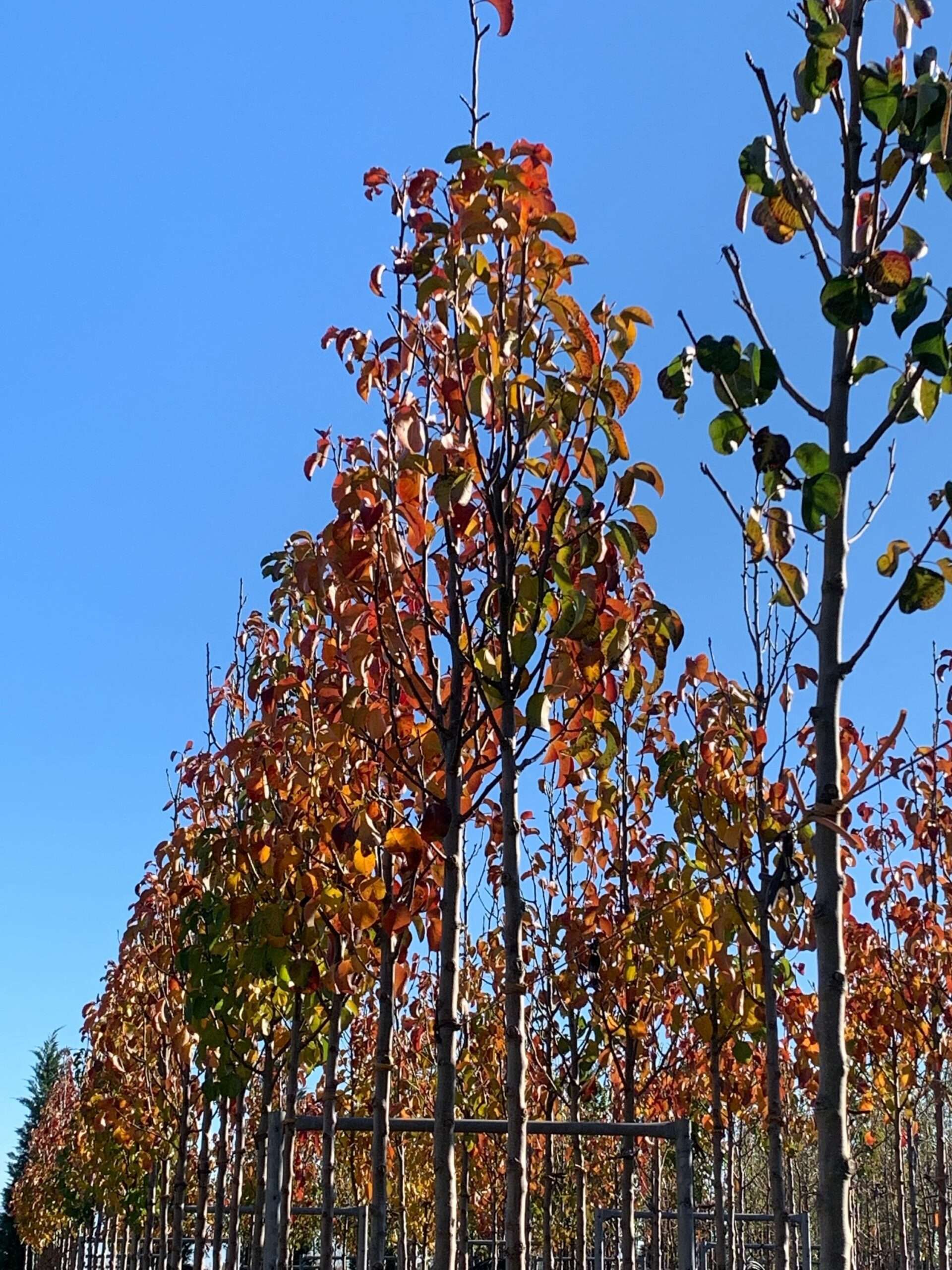 1638873120 scaled e8c960b8