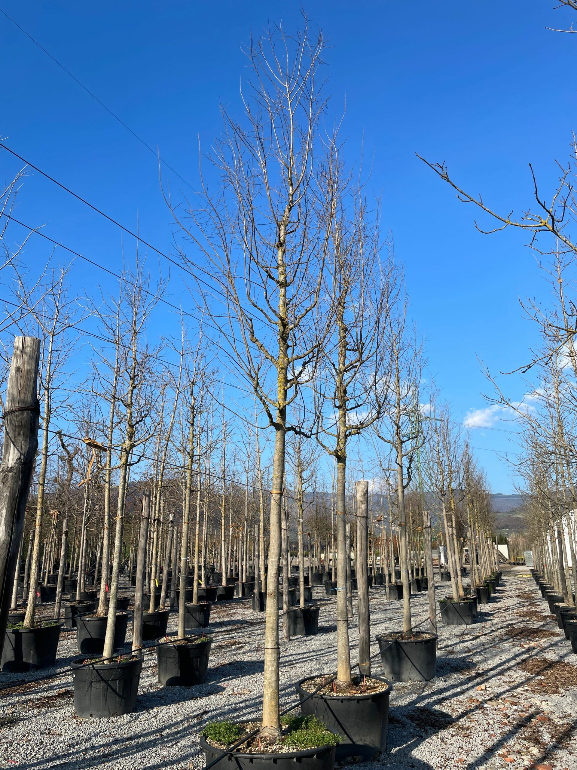 1644242951 scaled e8b48df3