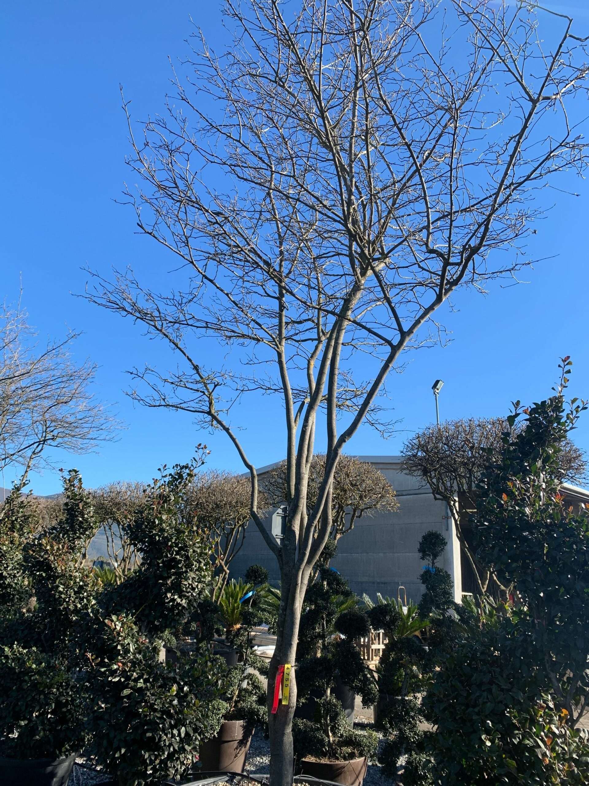 1644311538 scaled e833a9fe